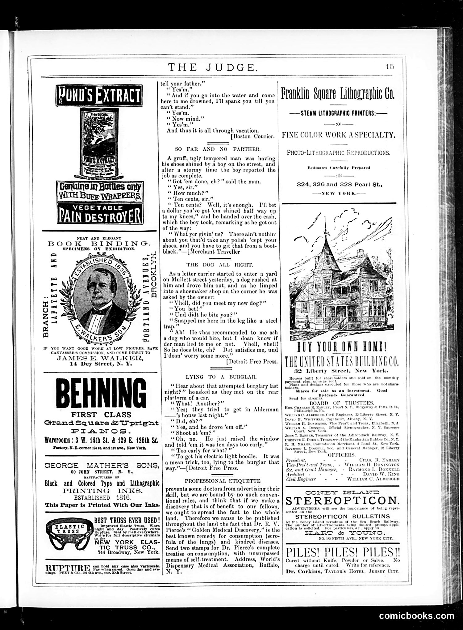 Judge — August 1, 1885 — page 15