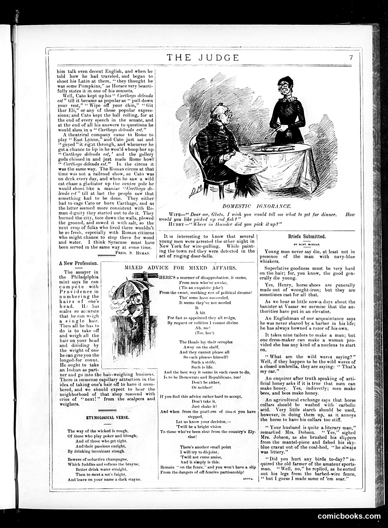 Judge — August 22, 1885 — page 7