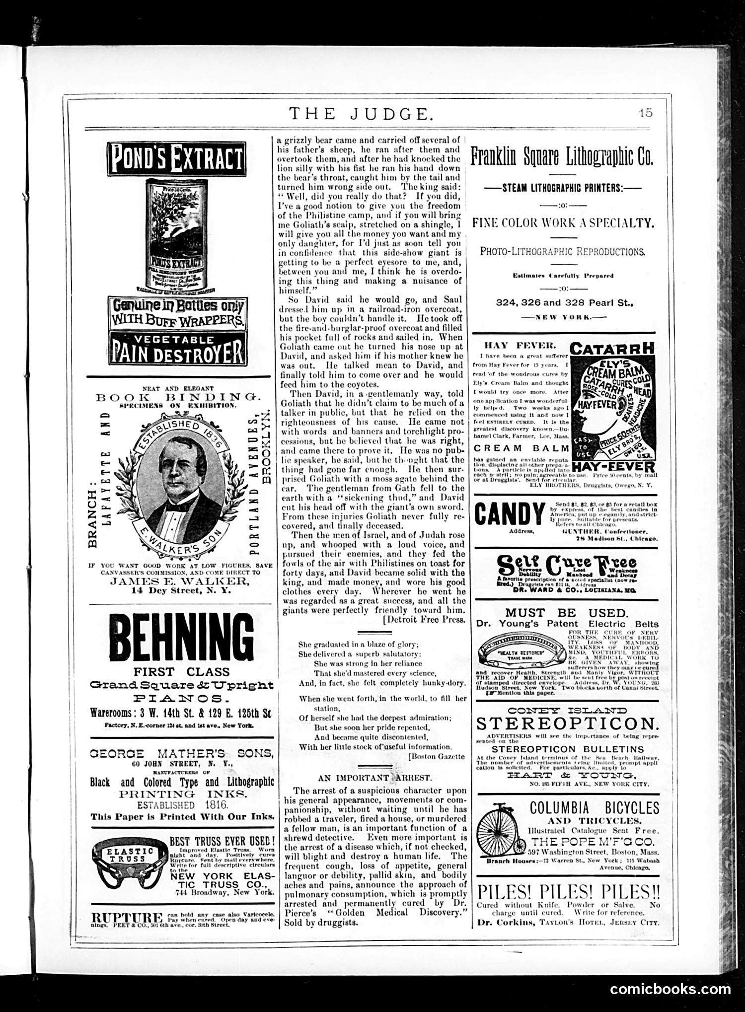 Judge — August 22, 1885 — page 15