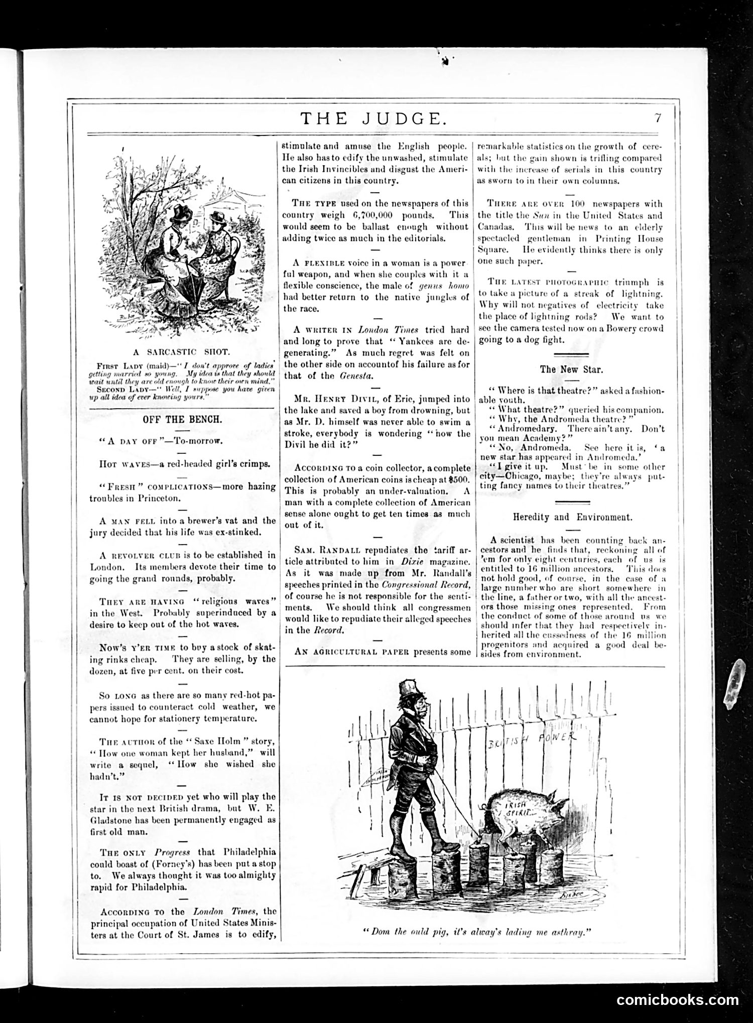 Judge — October 10, 1885 — page 7