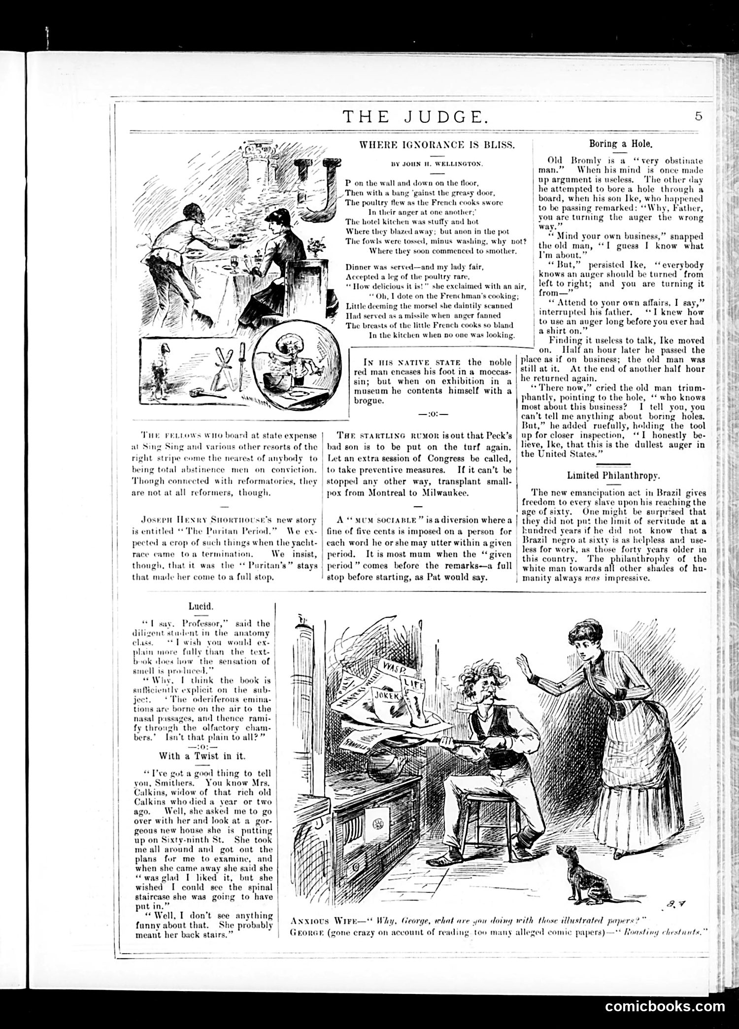 Judge — October 31, 1885 — page 5