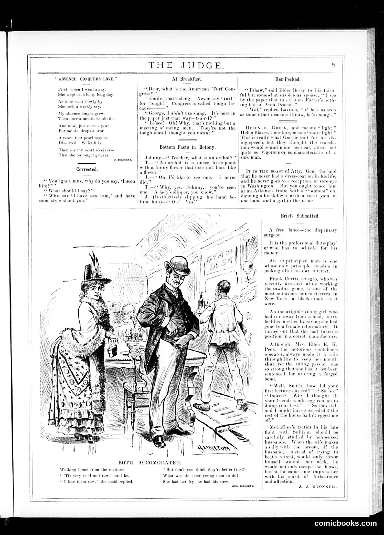 Judge — November 28, 1885 — page 5