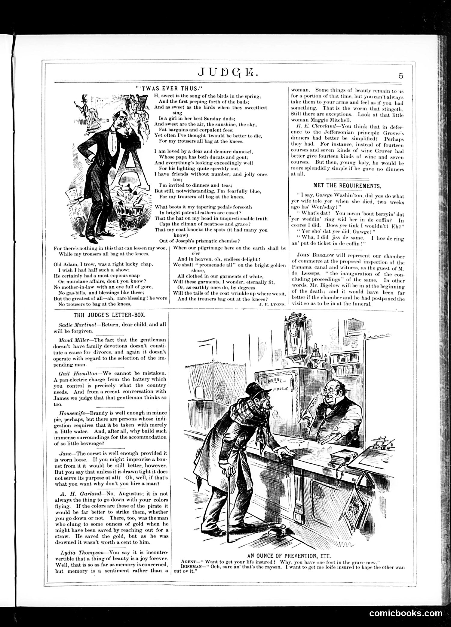 Judge — February 27, 1886 — page 5