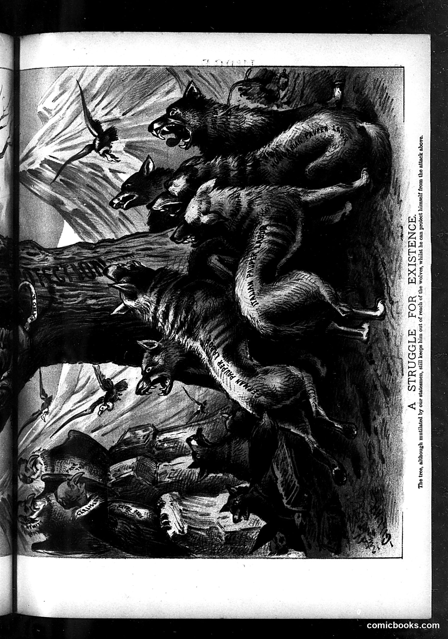 Judge — April 17, 1886 — page 11