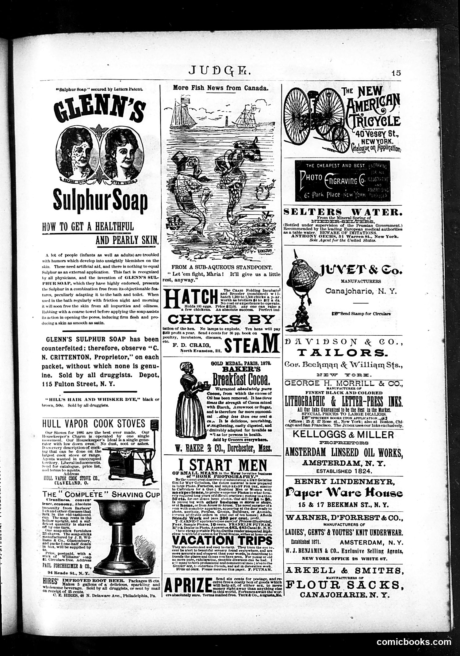 Judge — June 12, 1886 — page 17