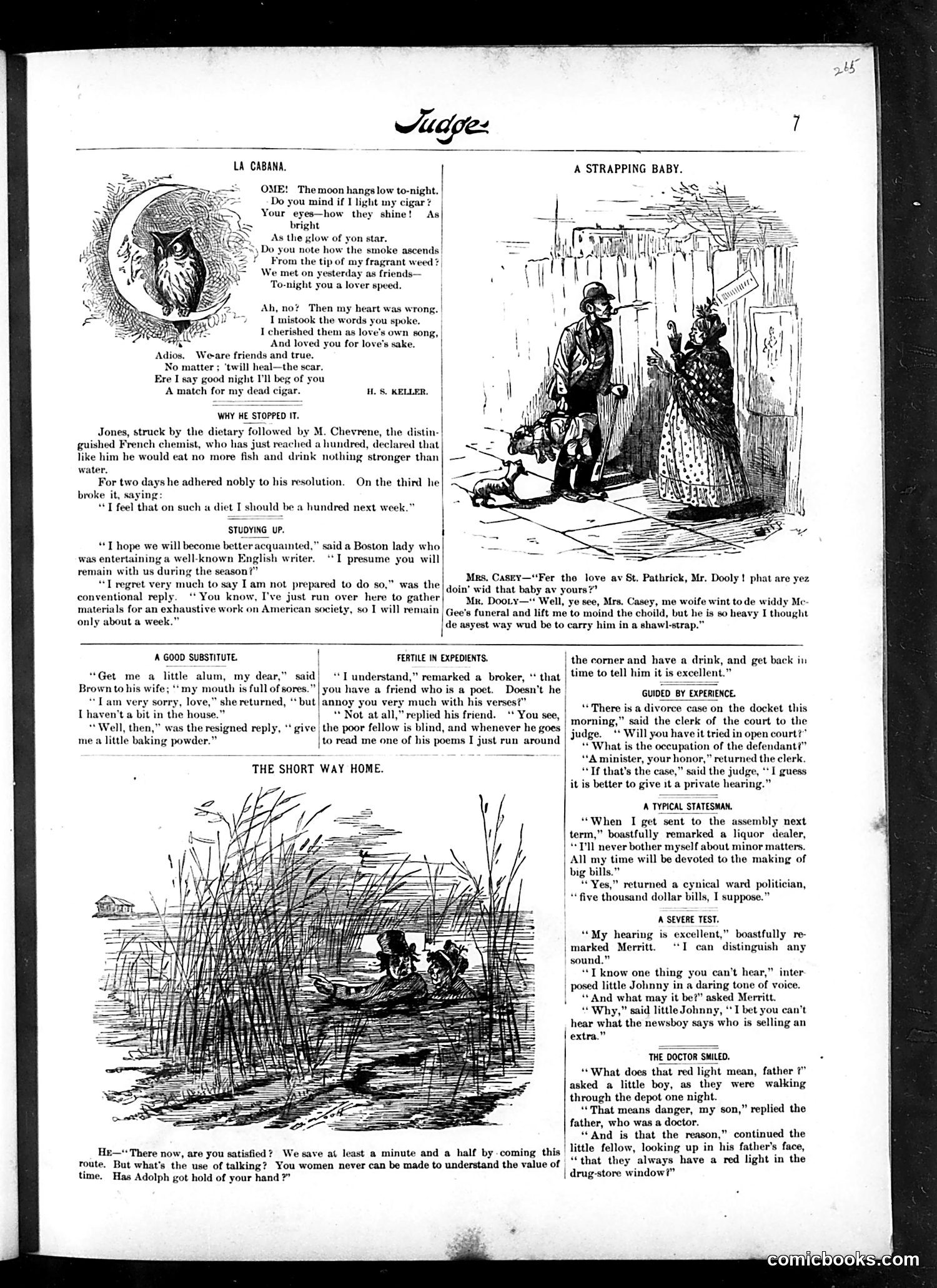 Judge — November 13, 1886 — page 7