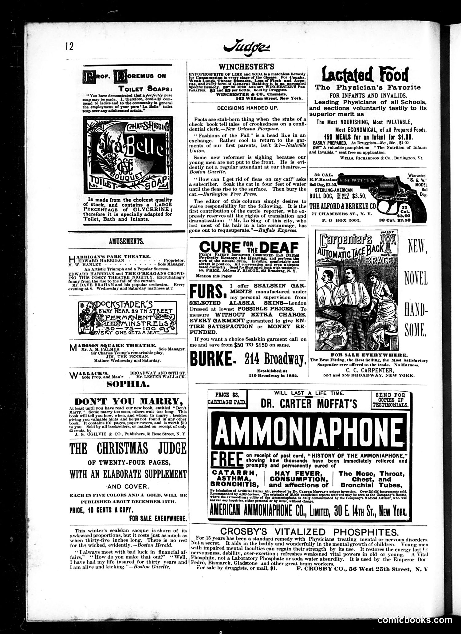 Judge — December 11, 1886 — page 12