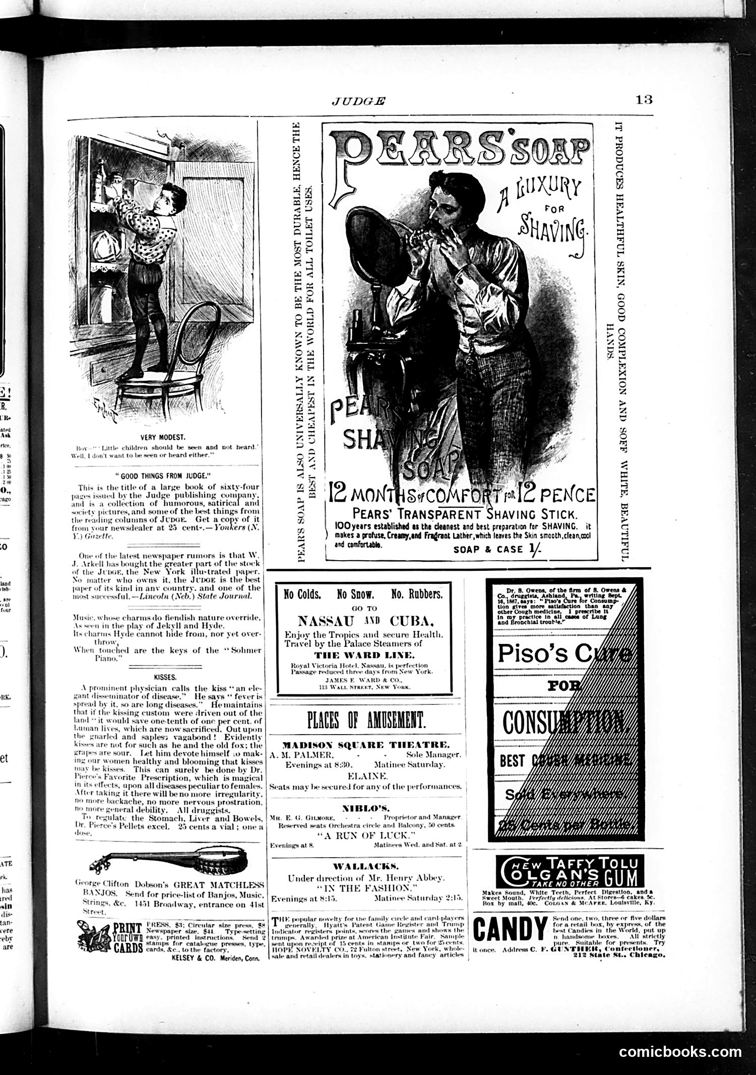 Judge — January 14, 1888 — page 13