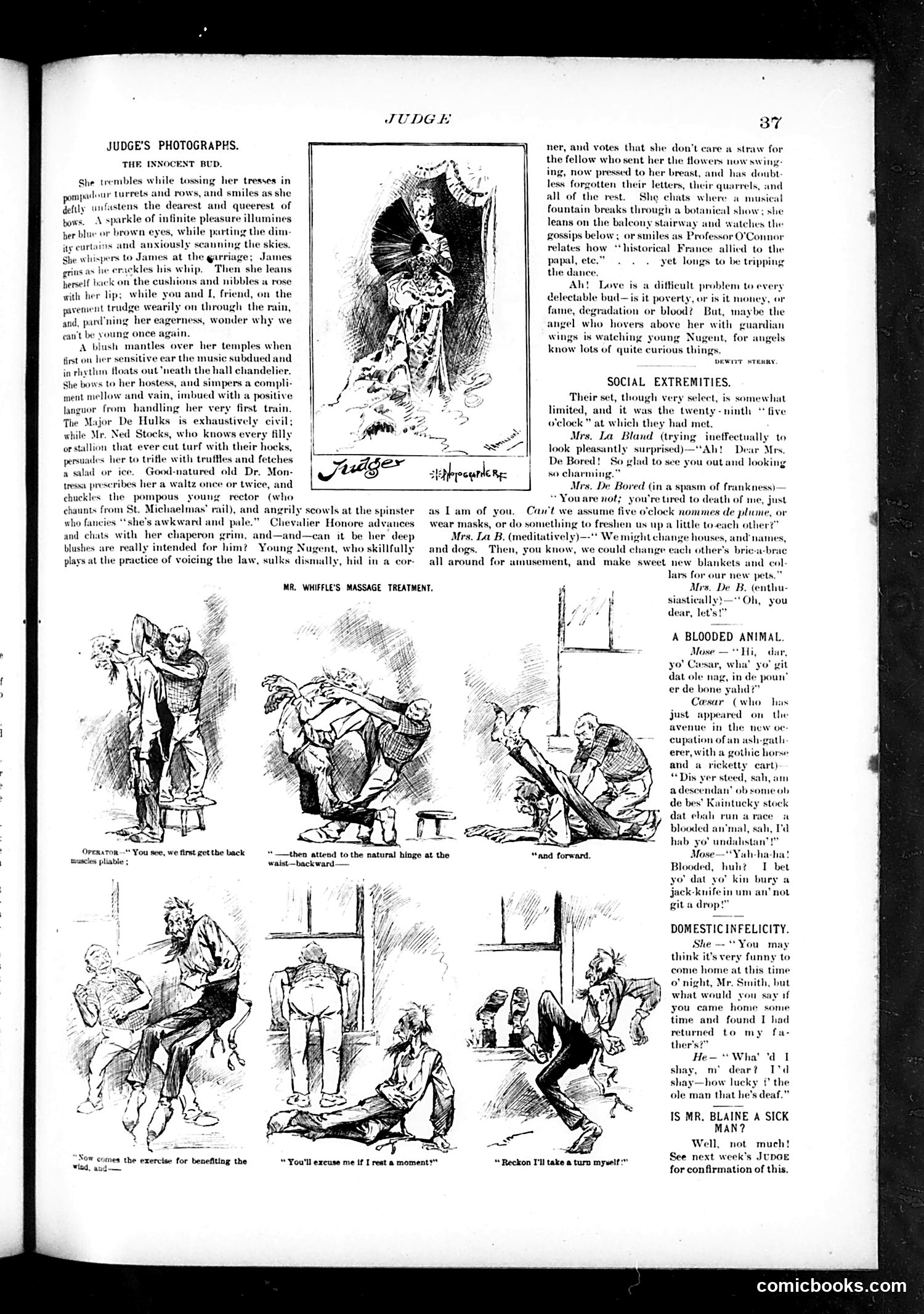 Judge — April 28, 1888 — page 5