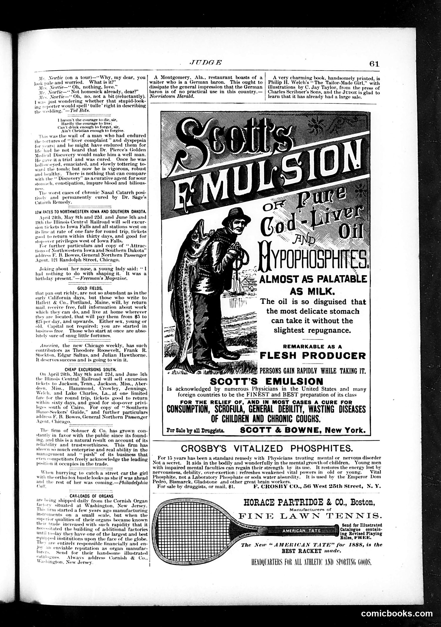 Judge — May 5, 1888 — page 13