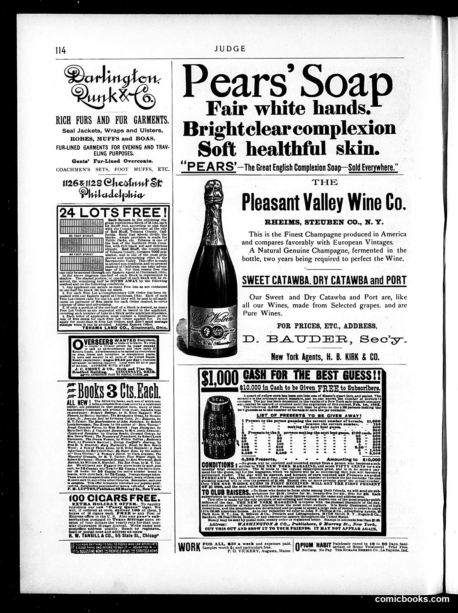 Judge — November 24, 1888 — page 14