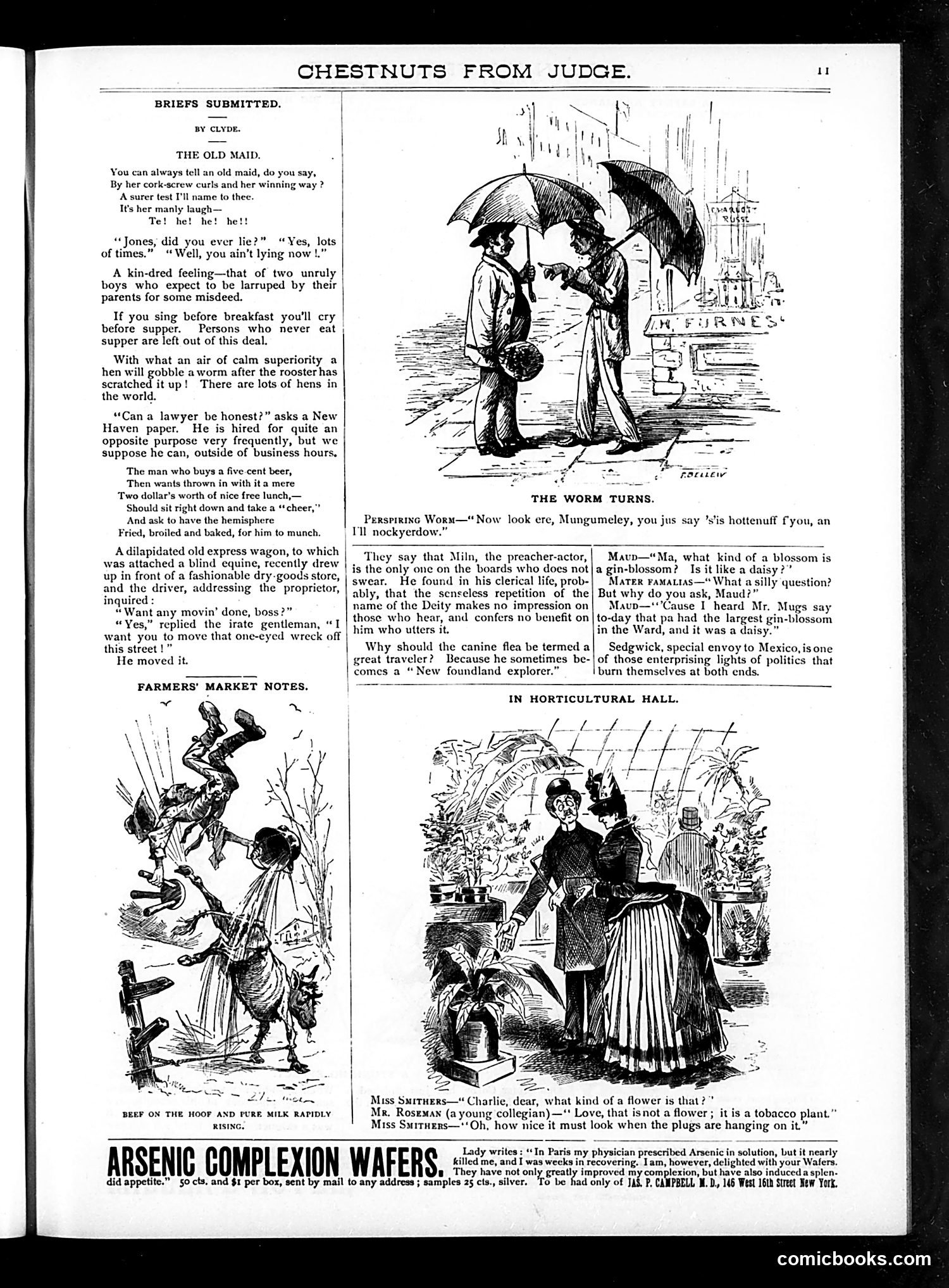 Judge — 1888 — page 17