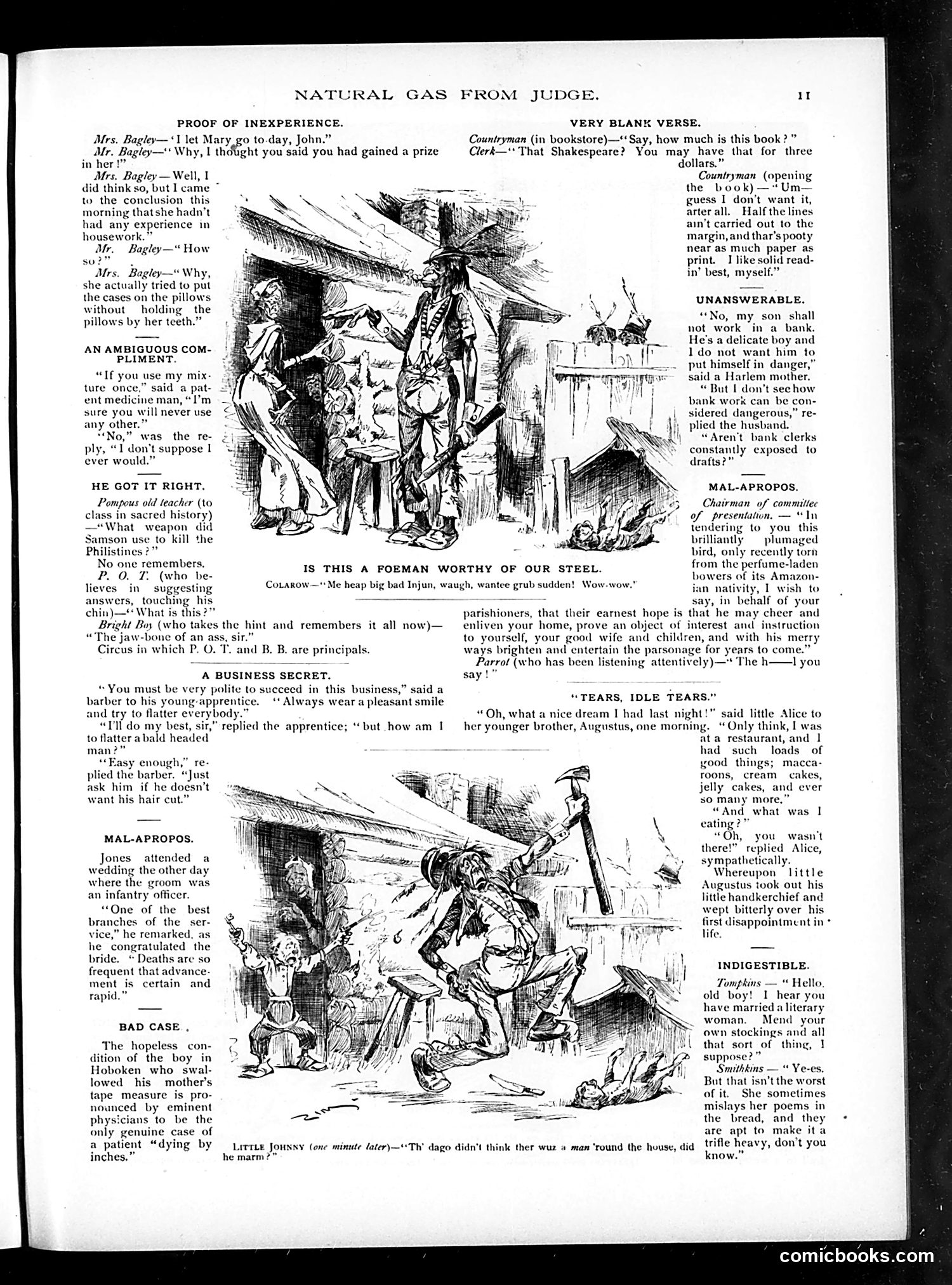 Judge — 1888 — page 13
