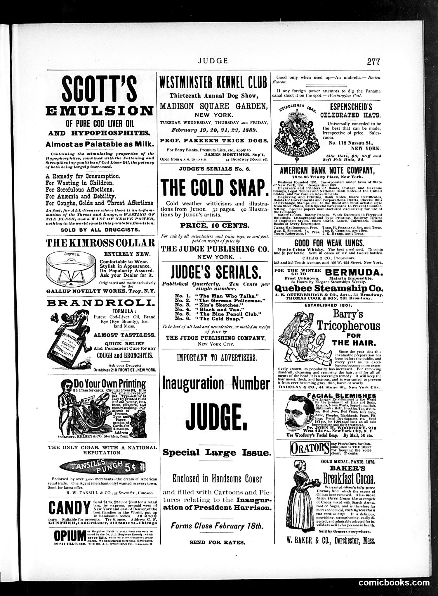 Judge — February 2, 1889 — page 13