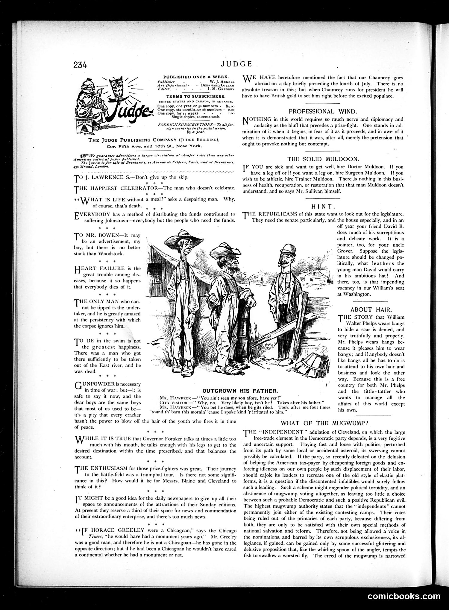 Judge — July 20, 1889 — page 2