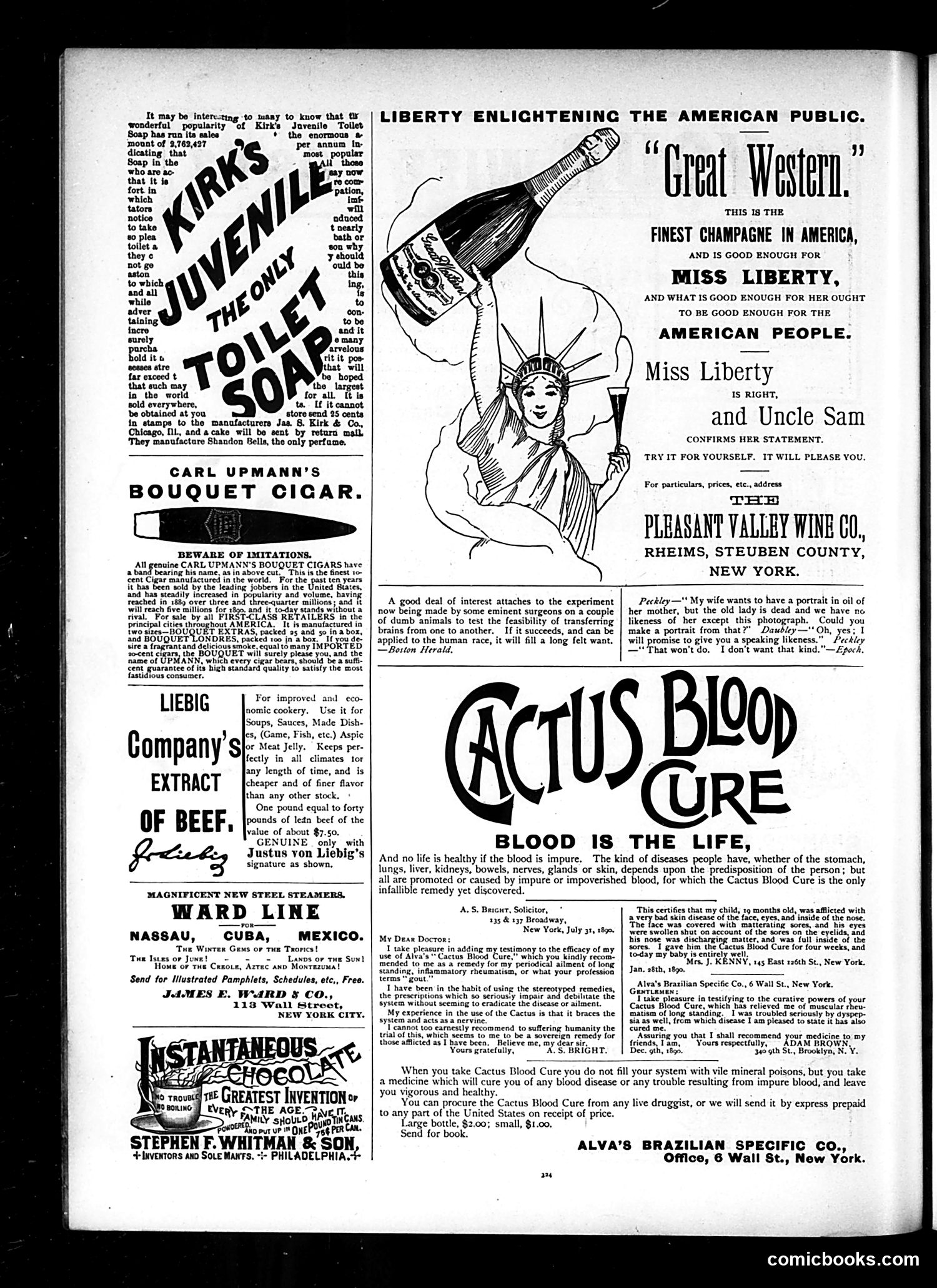 Judge — February 7, 1891 — page 14