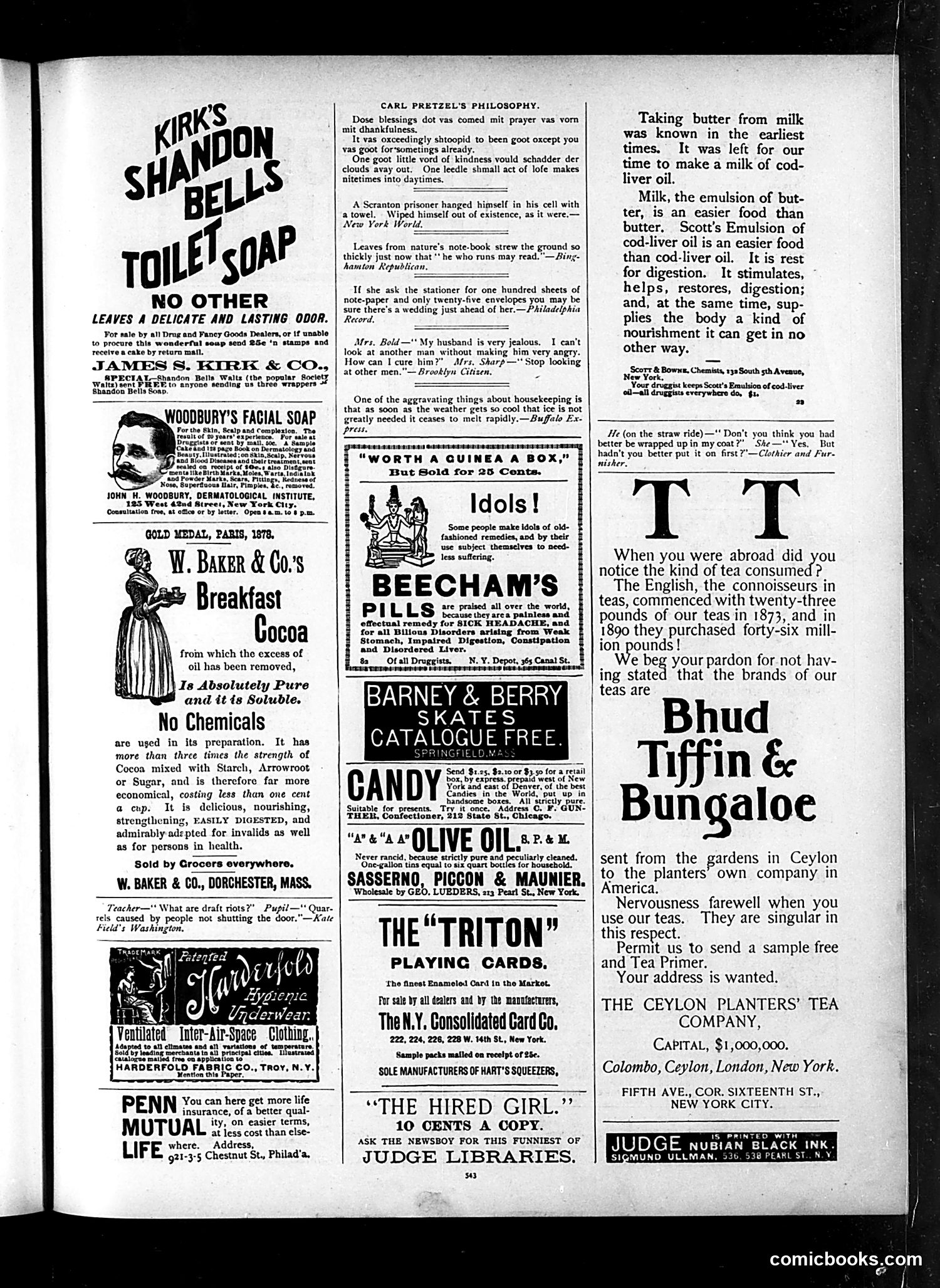 Judge — November 21, 1891 — page 13