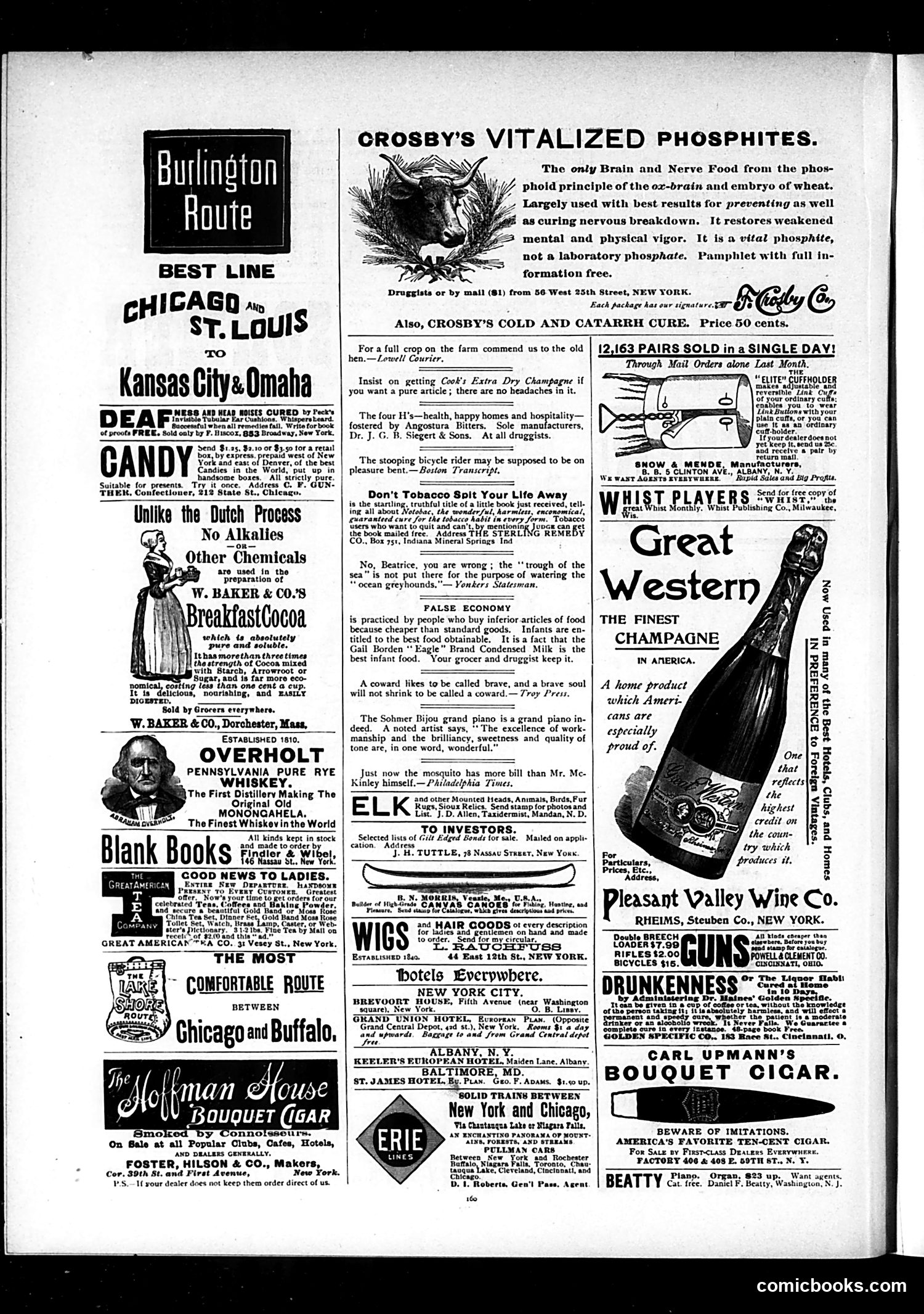 Judge — September 3, 1892 — page 12