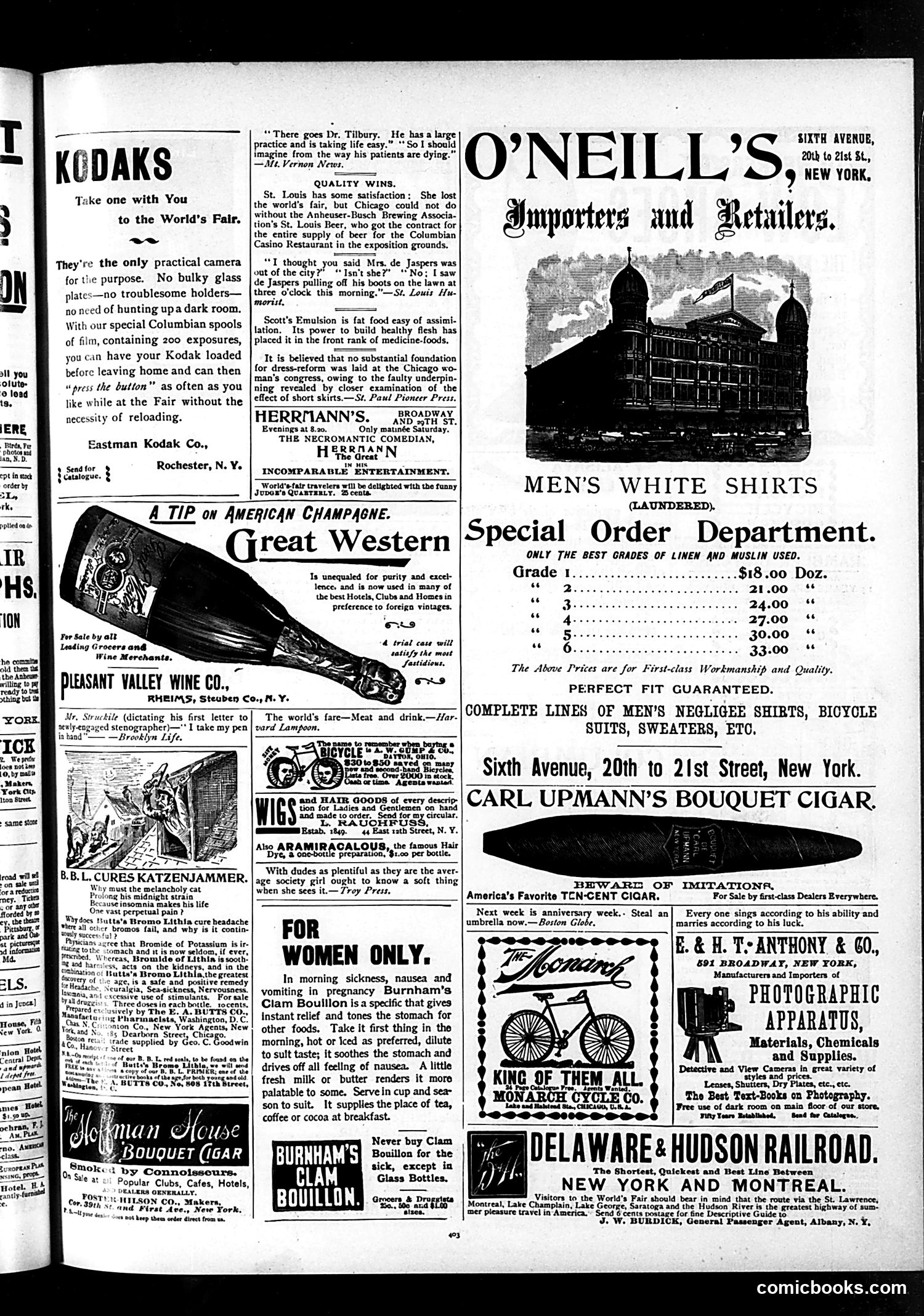 Judge — June 24, 1893 — page 13