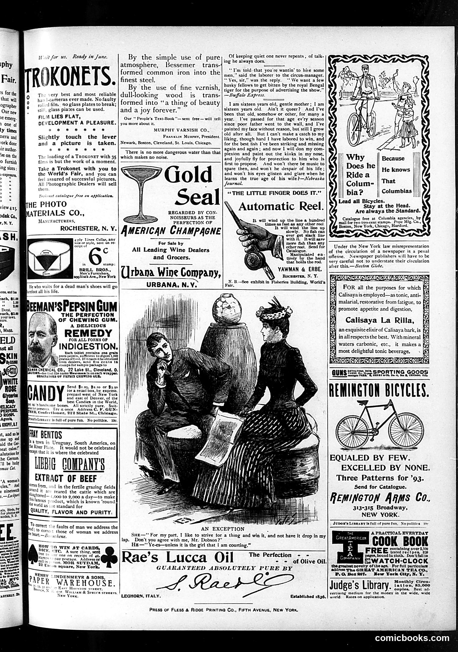 Judge — July 1, 1893 — page 15