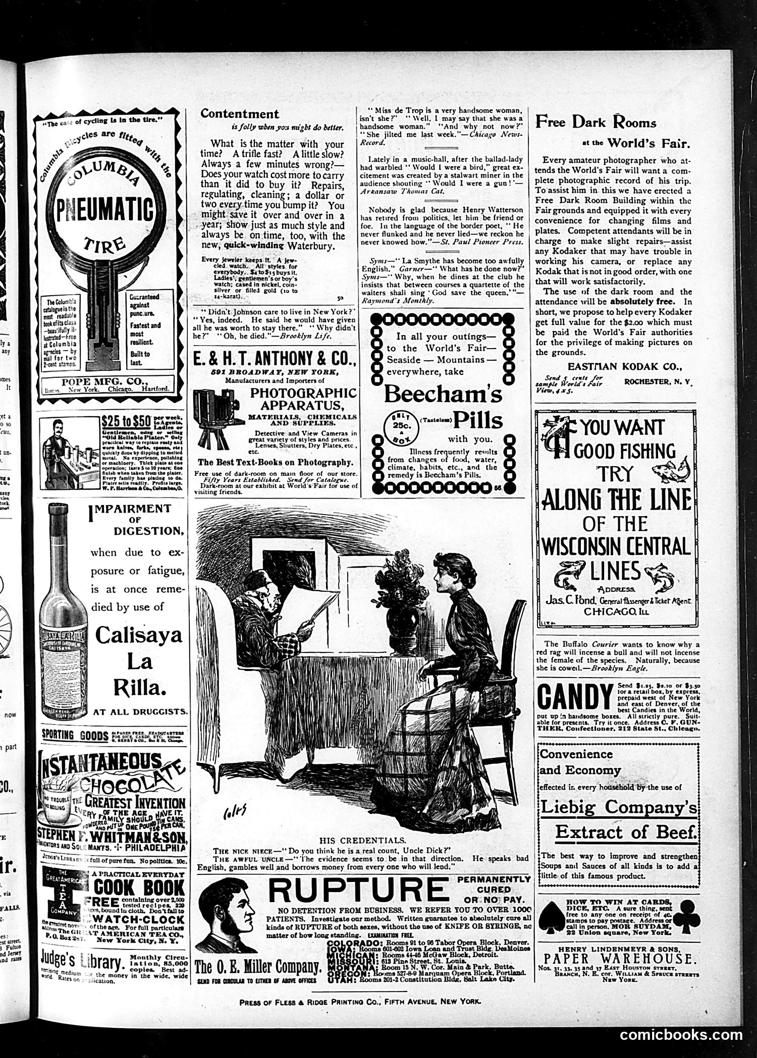 Judge — July 22, 1893 — page 15