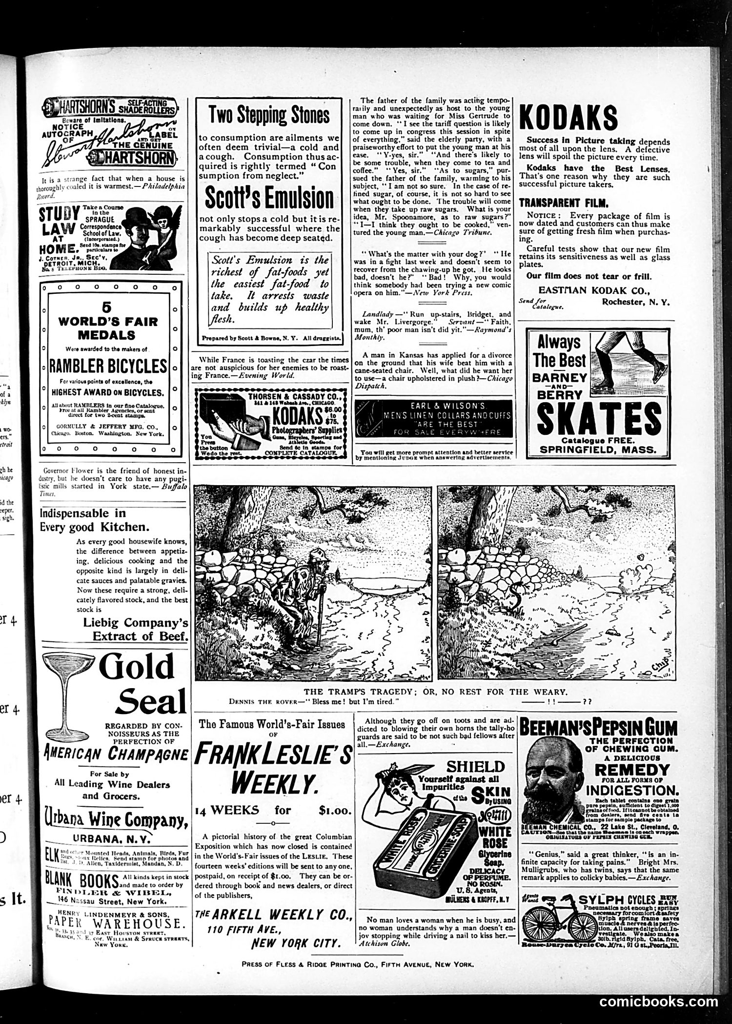 Judge — November 18, 1893 — page 15