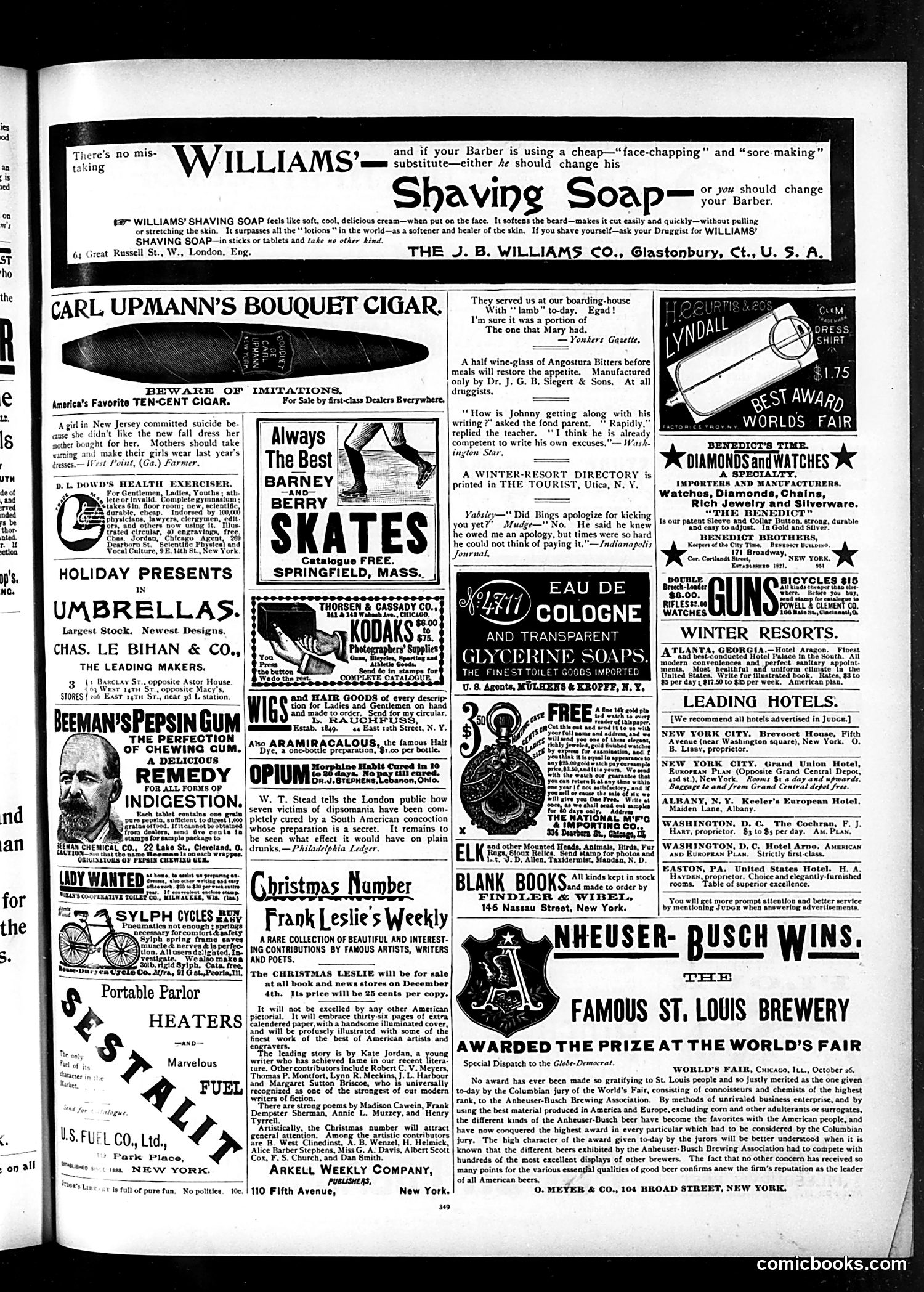 Judge — December 2, 1893 — page 13