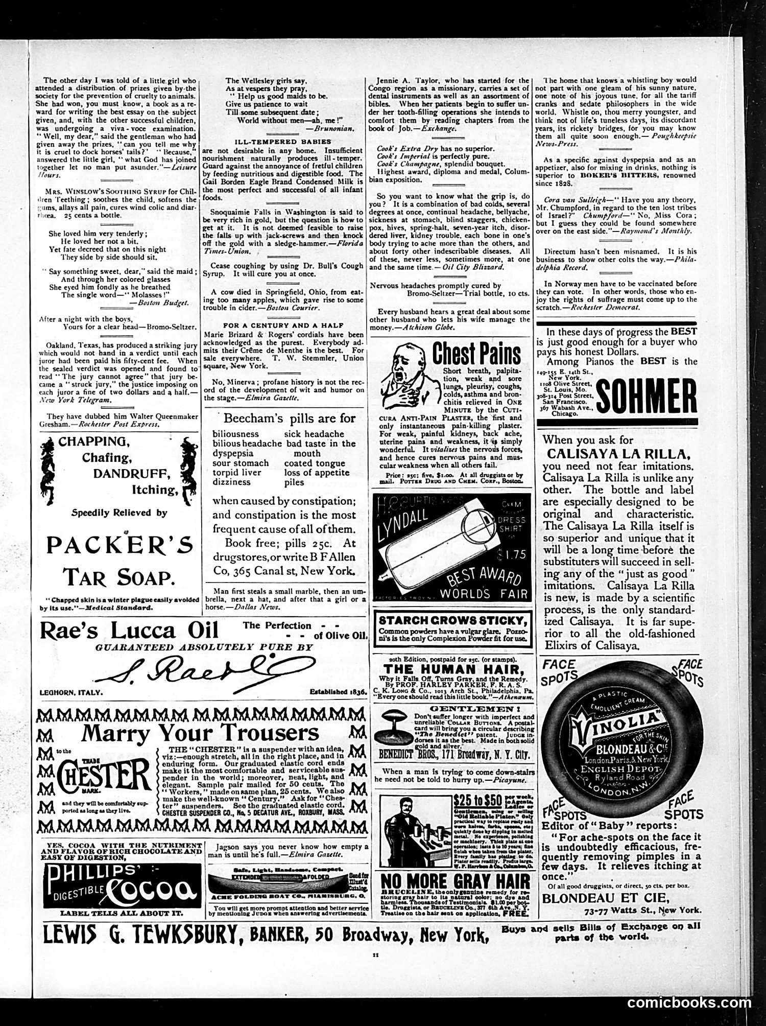 Judge — January 6, 1894 — page 11