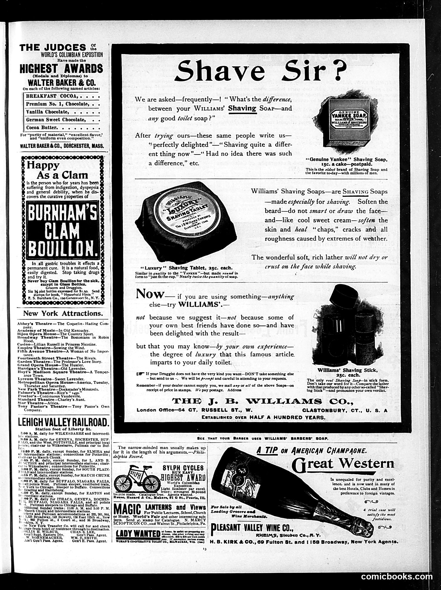 Judge — January 6, 1894 — page 13