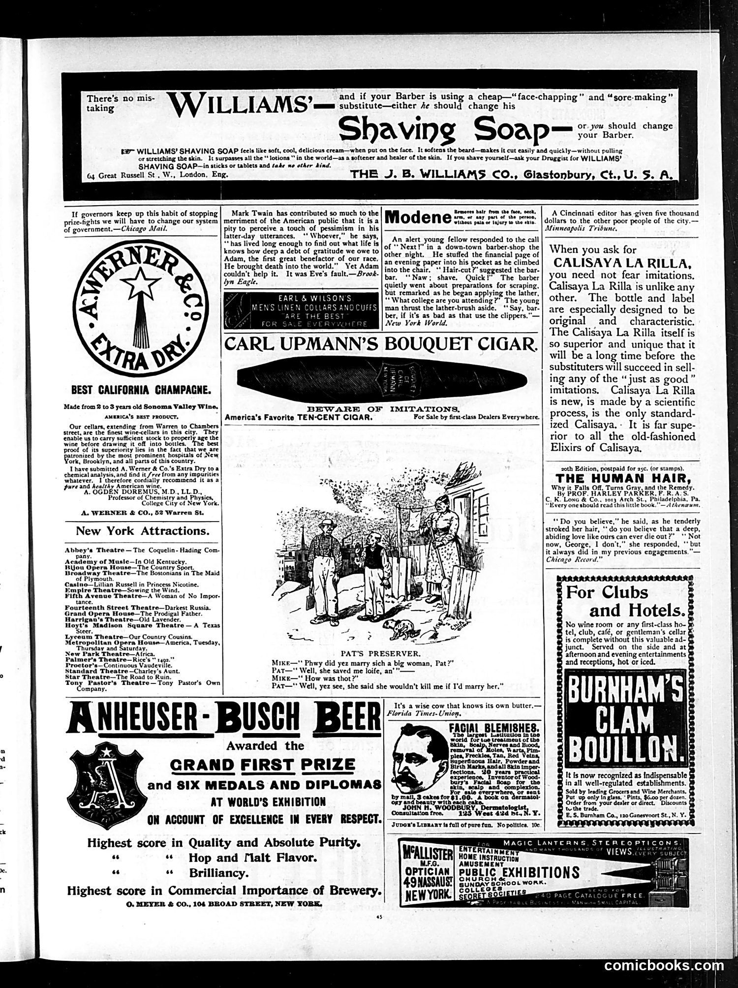 Judge — January 20, 1894 — page 13