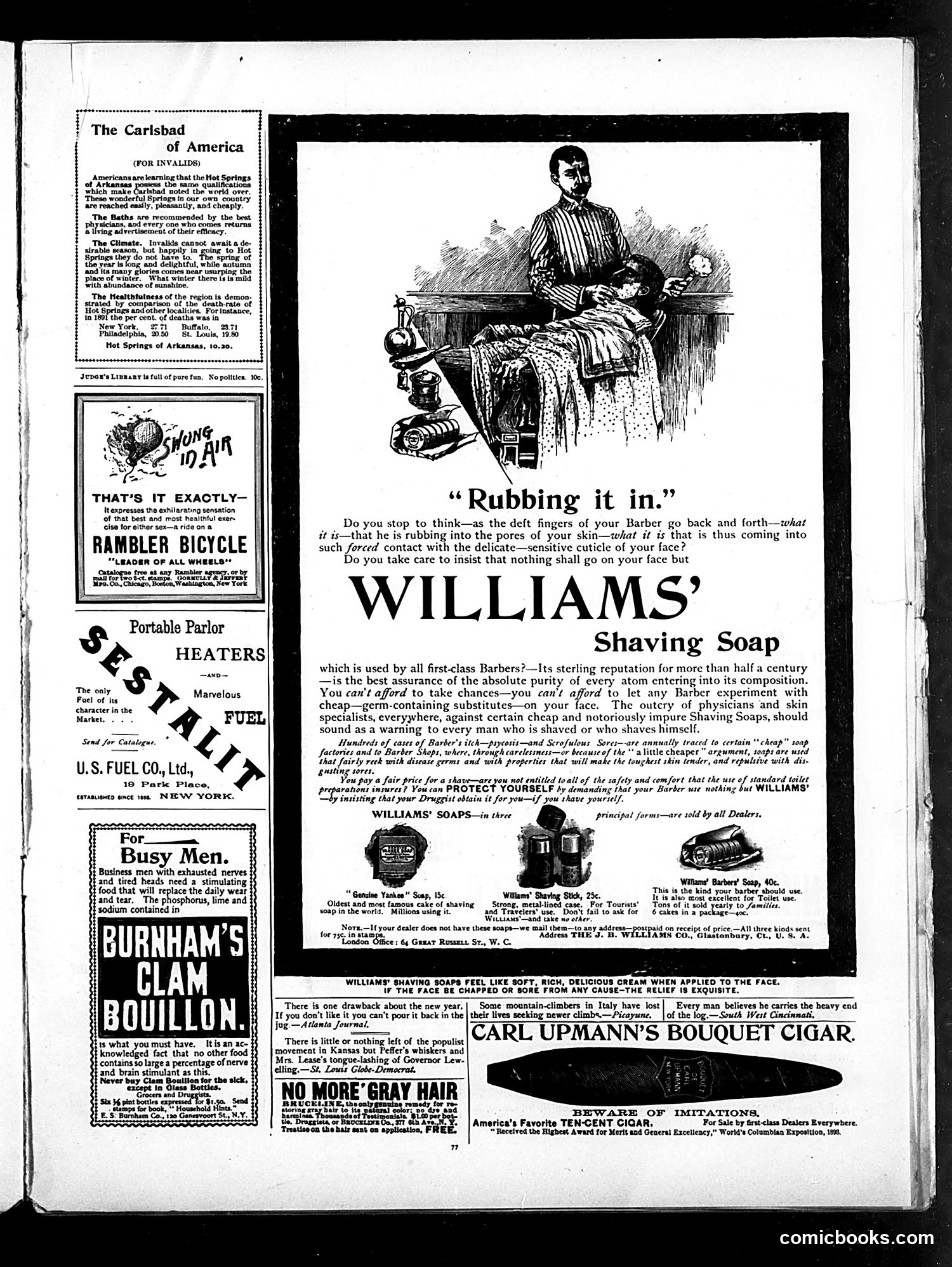 Judge — February 3, 1894 — page 13