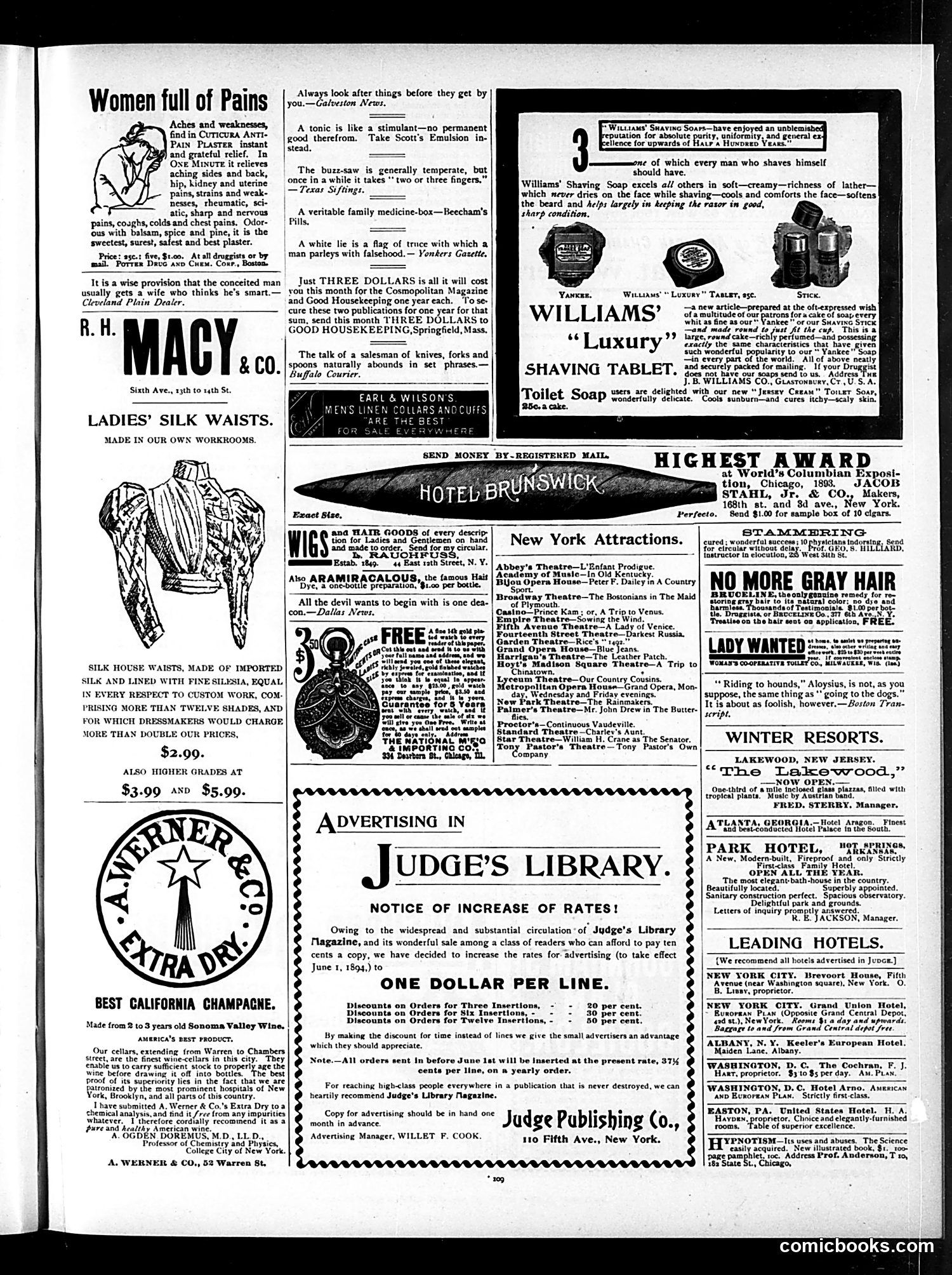 Judge — February 17, 1894 — page 13