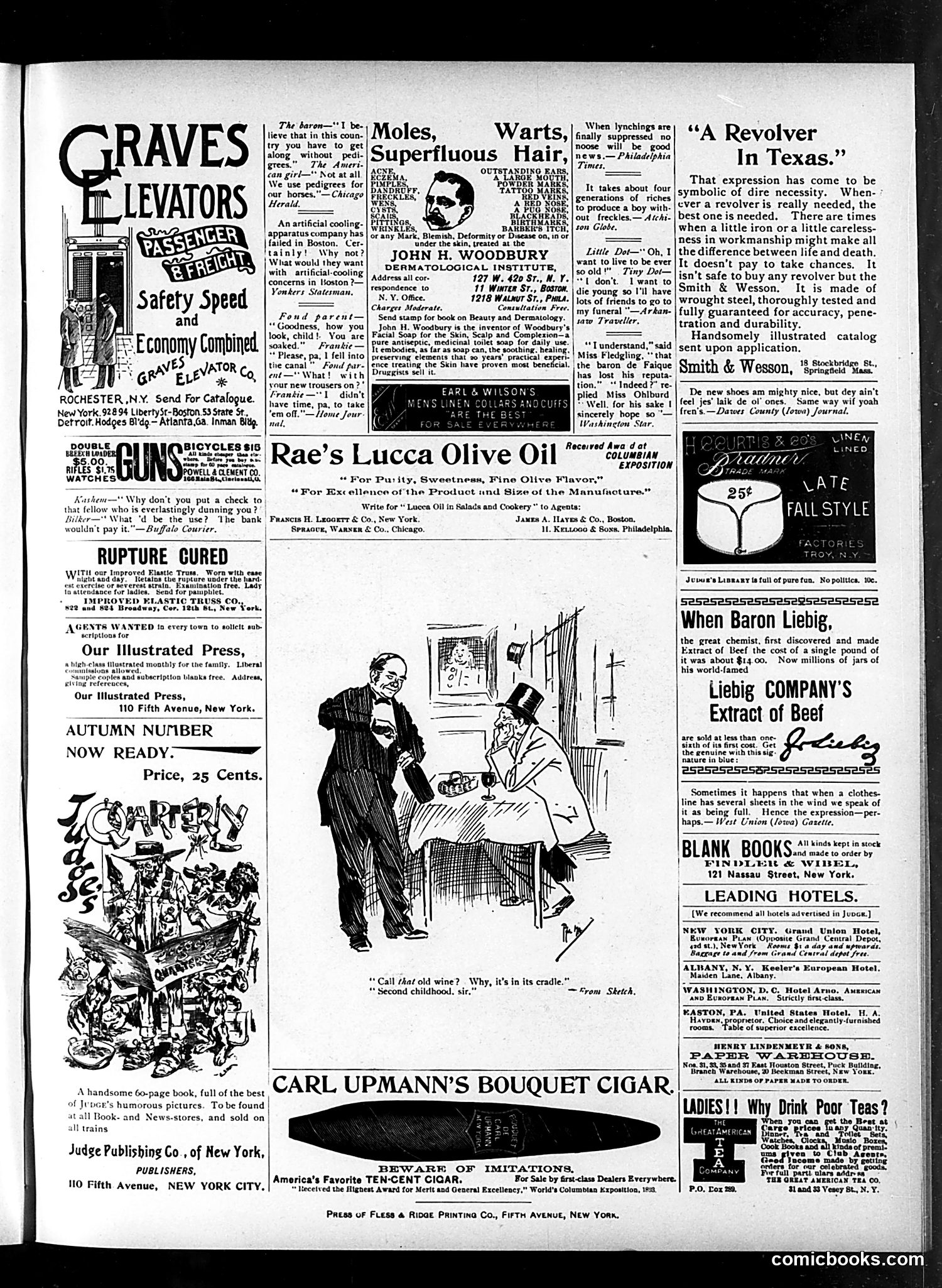 Judge — October 20, 1894 — page 15