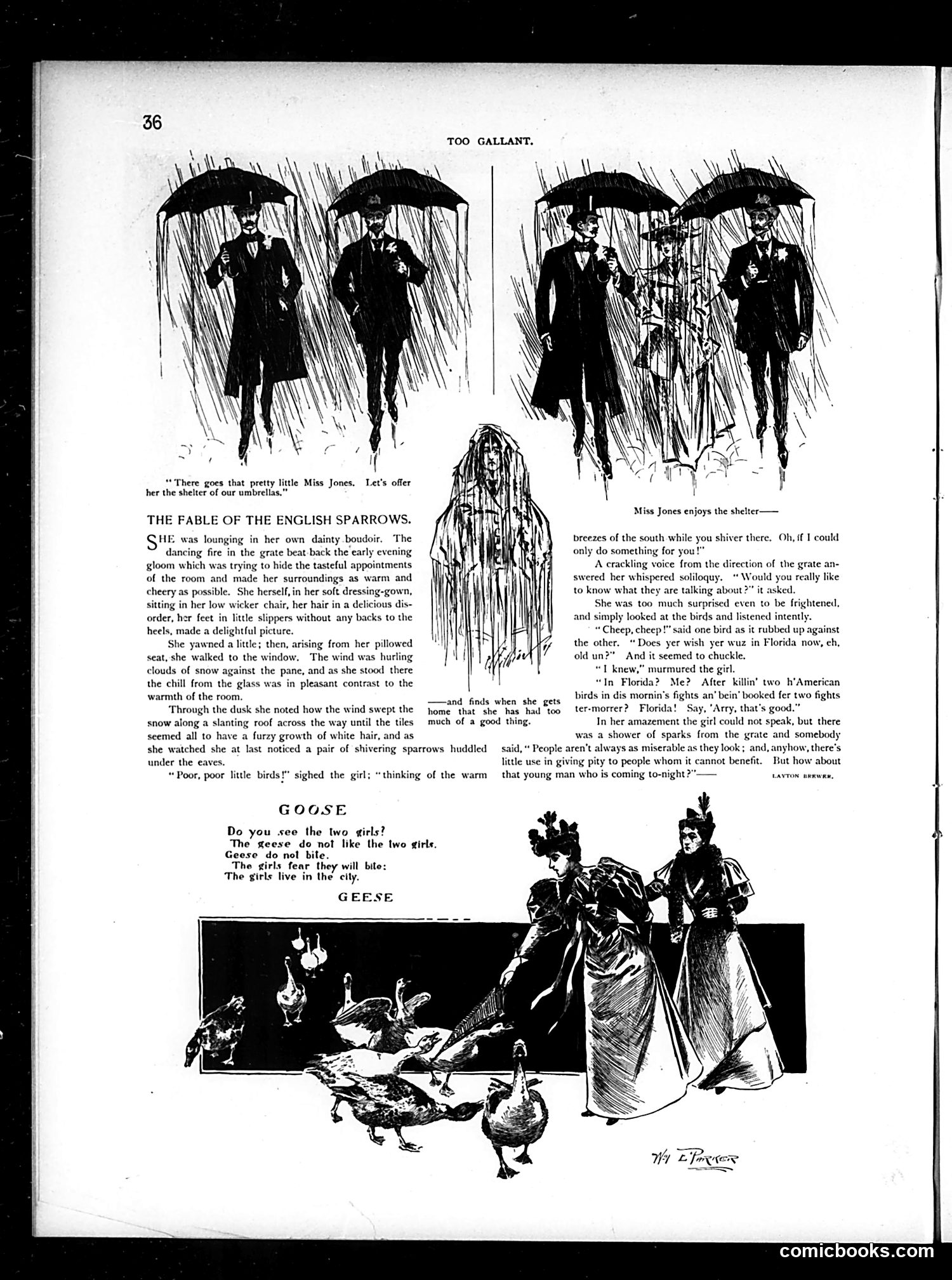 Judge — December 8, 1894 — page 46