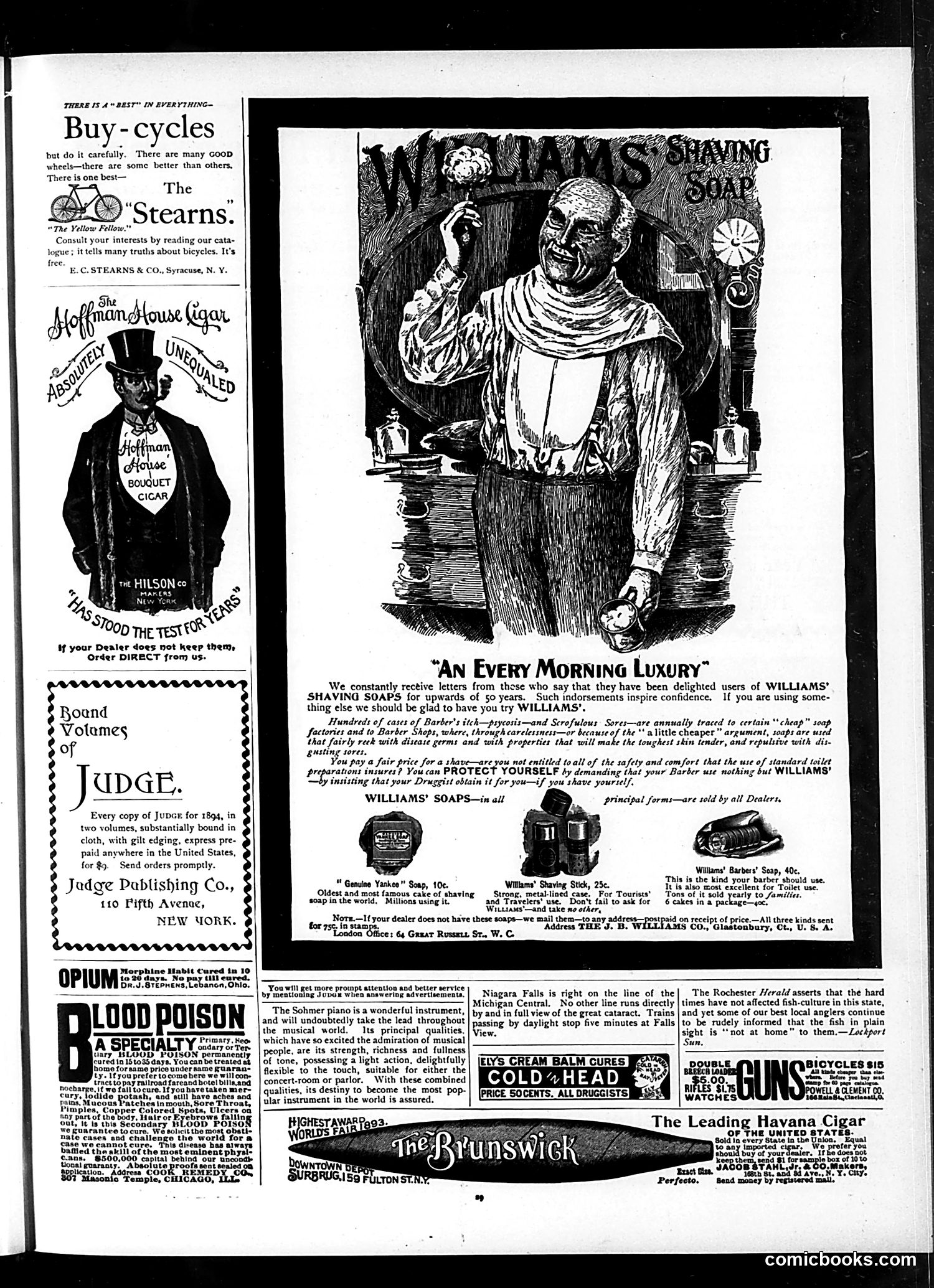 Judge — January 12, 1895 — page 13