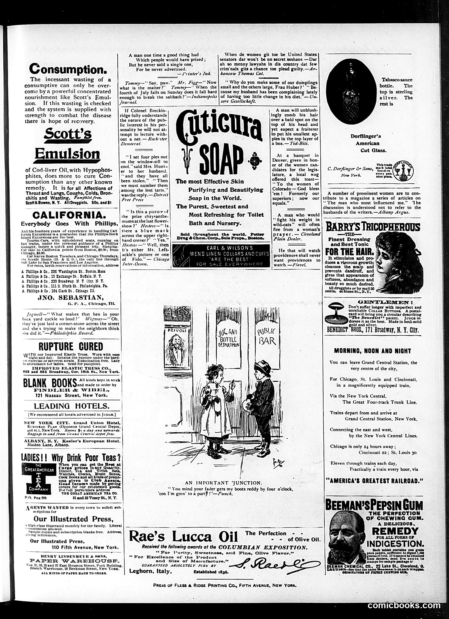 Judge — January 12, 1895 — page 15