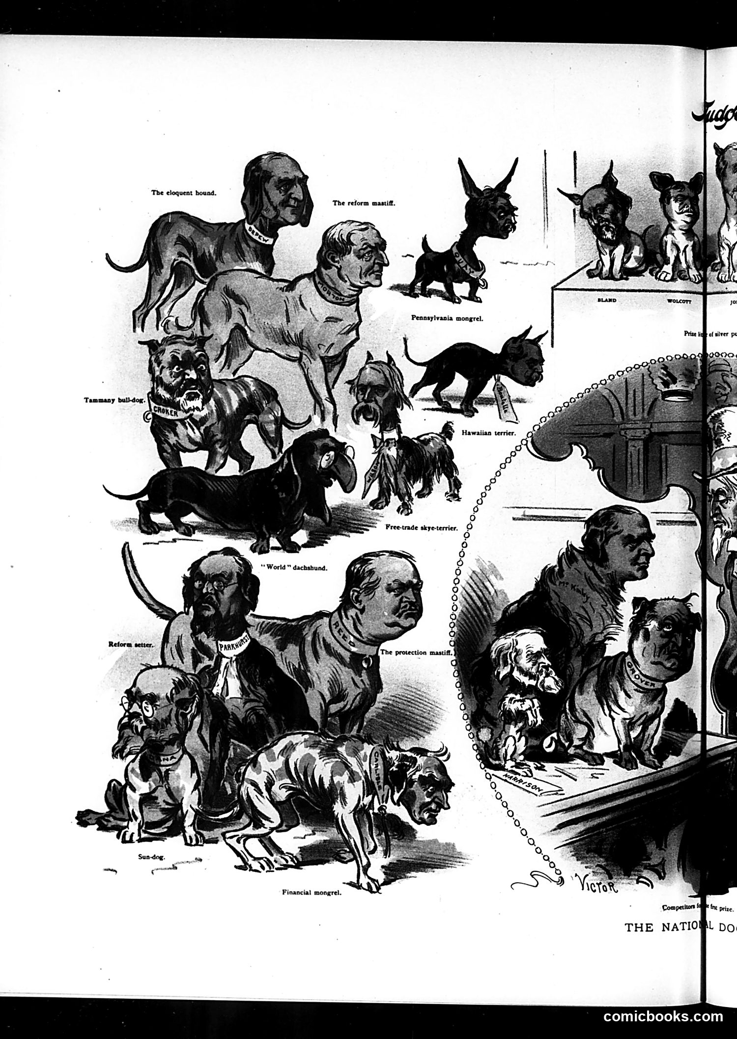 Judge — February 23, 1895 — page 8