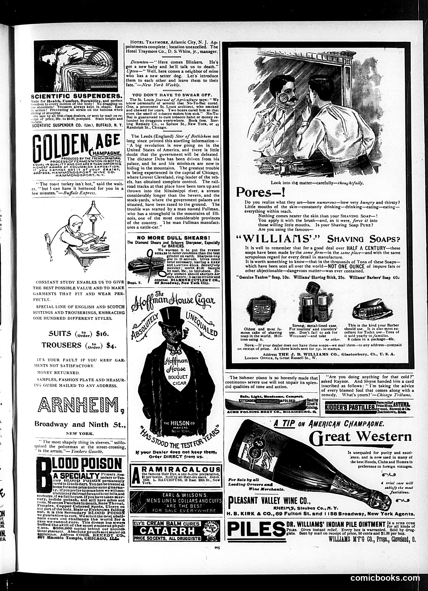 Judge — March 30, 1895 — page 13