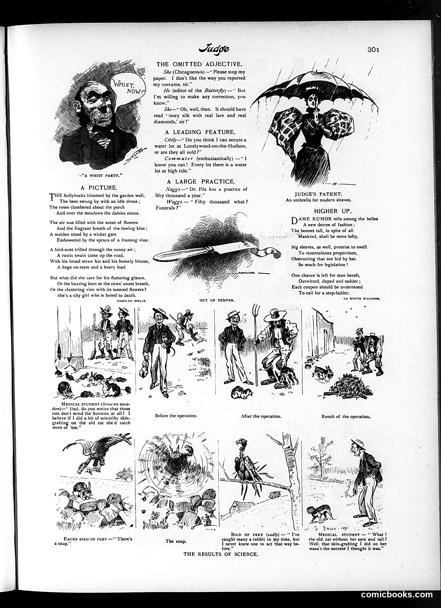 Judge — May 11, 1895 — page 5