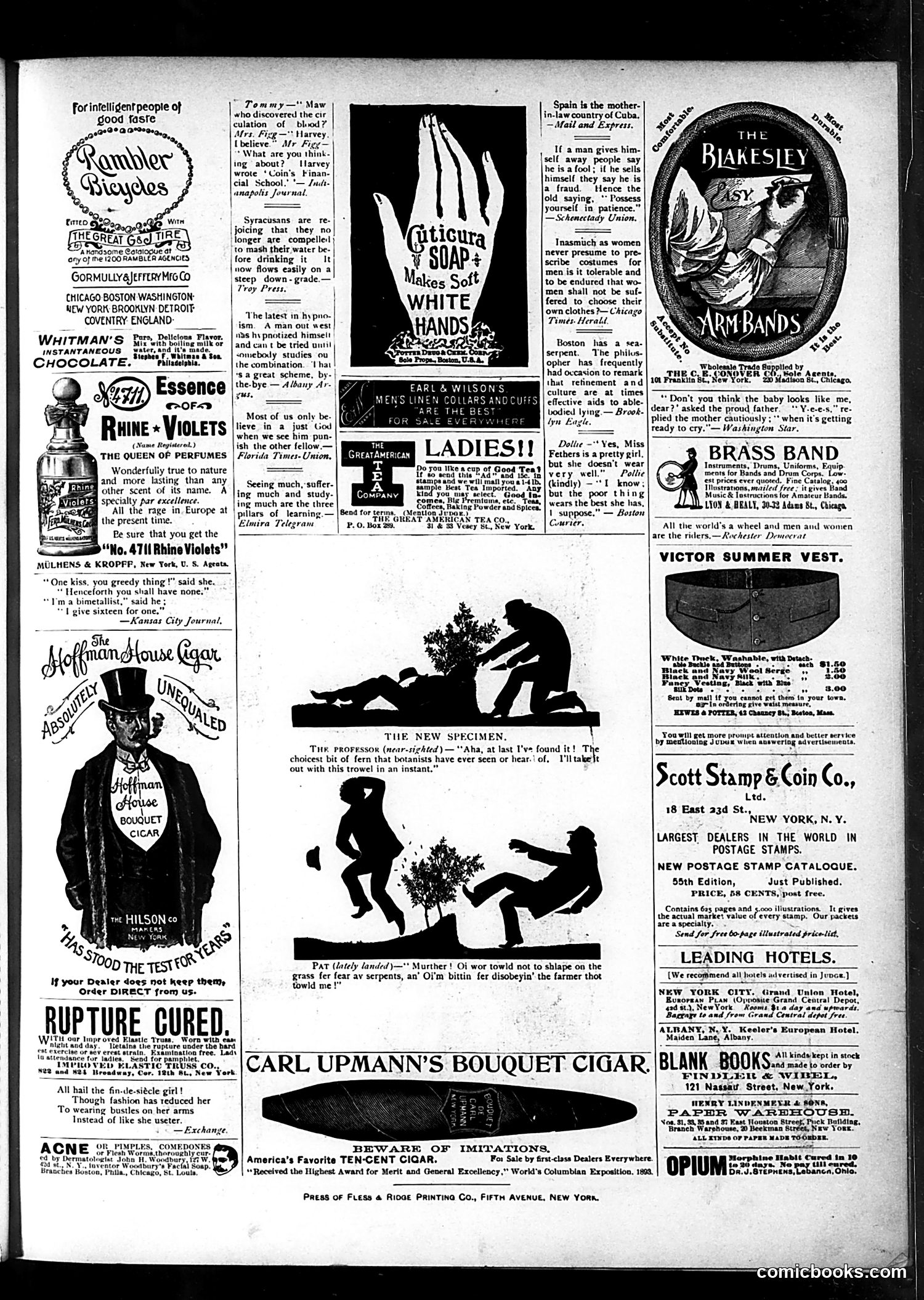 Judge — July 13, 1895 — page 15
