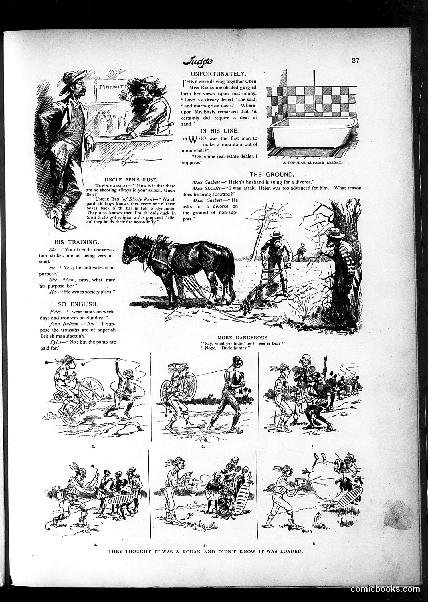 Judge — July 20, 1895 — page 5