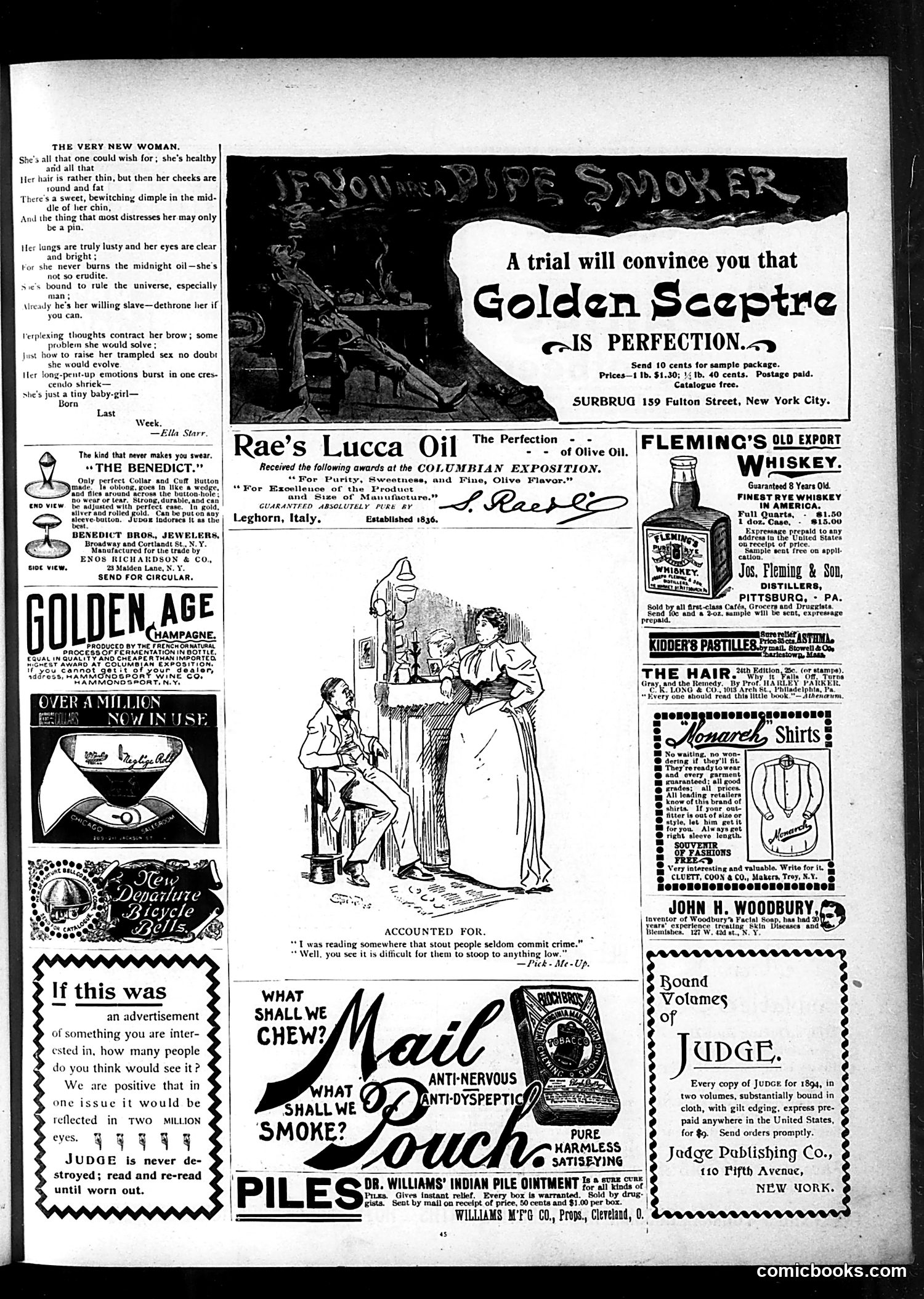 Judge — July 20, 1895 — page 13