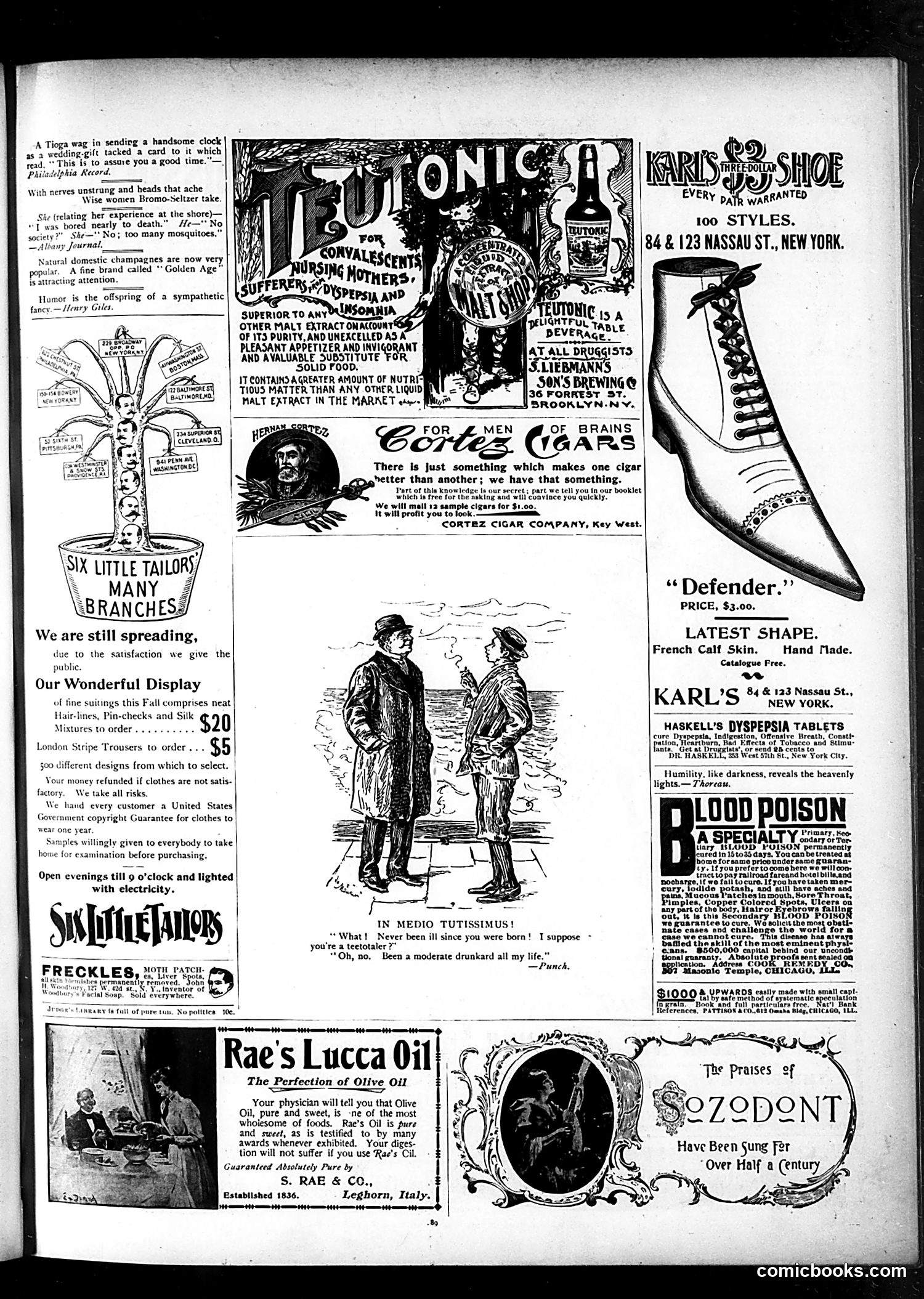 Judge — September 21, 1895 — page 13
