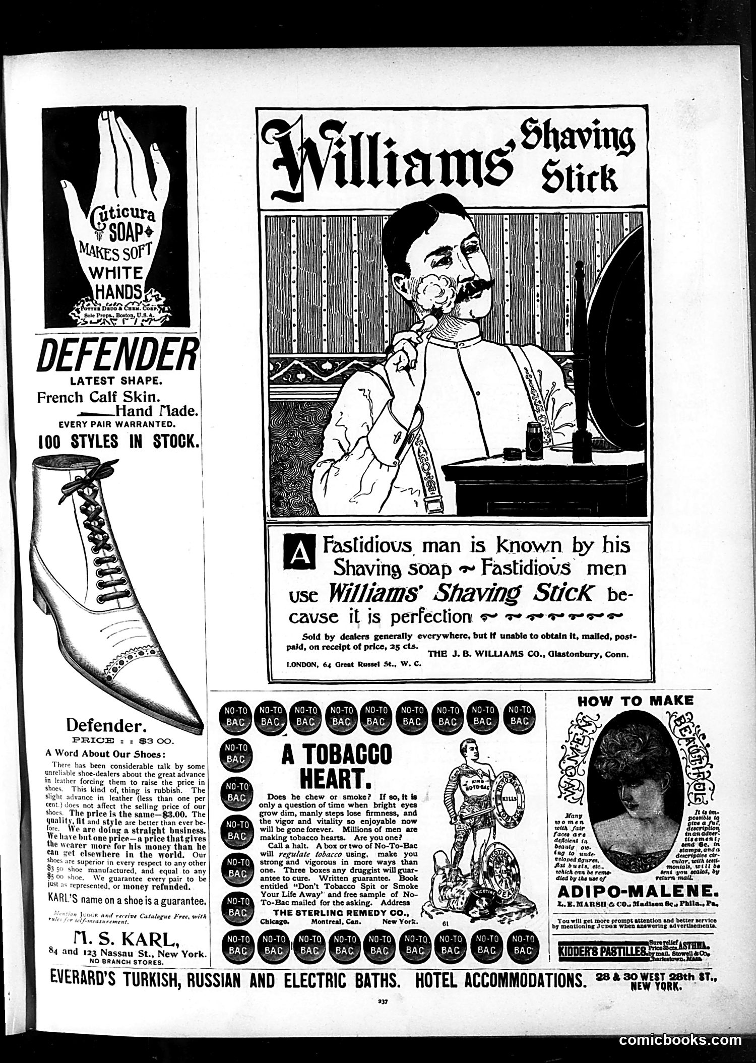 Judge — October 12, 1895 — page 13