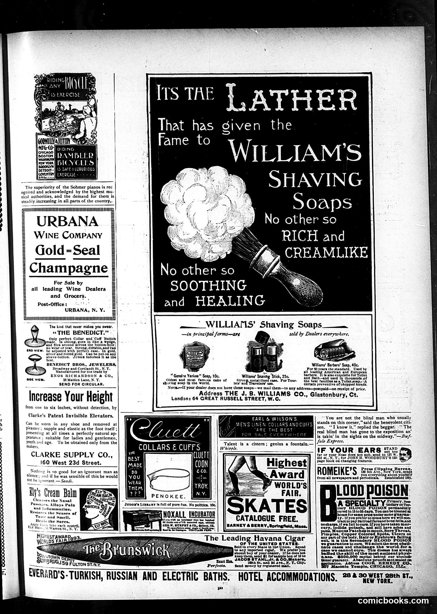 Judge — November 16, 1895 — page 13