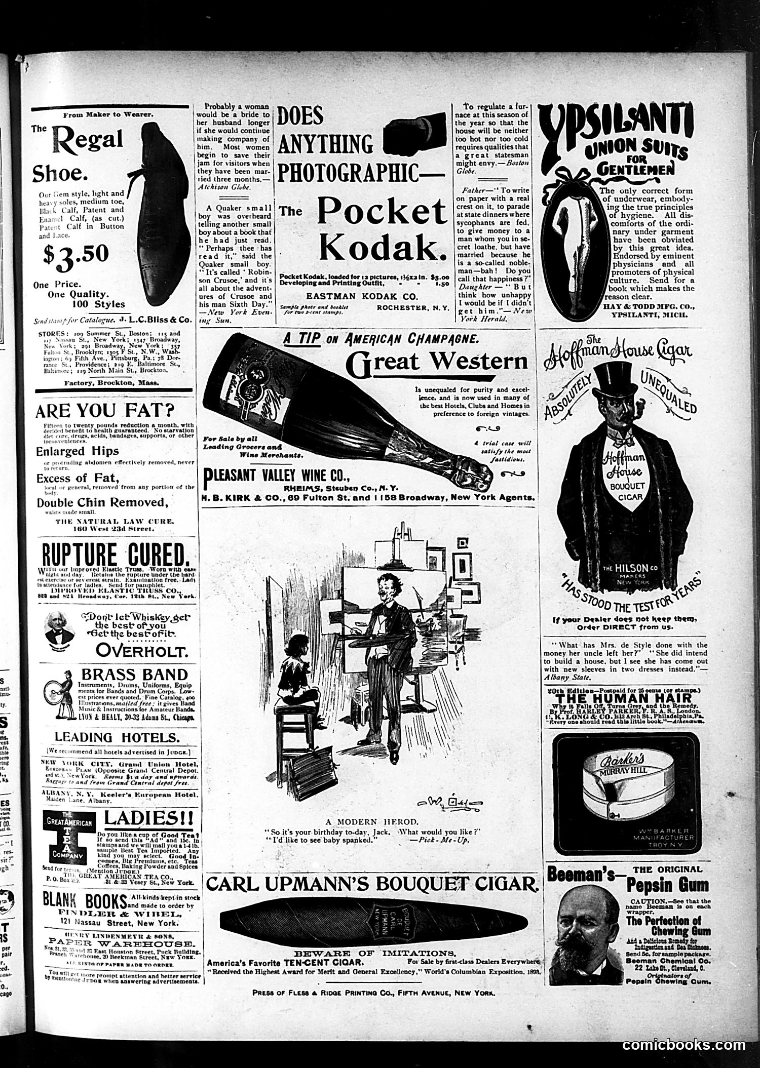 Judge — November 16, 1895 — page 15