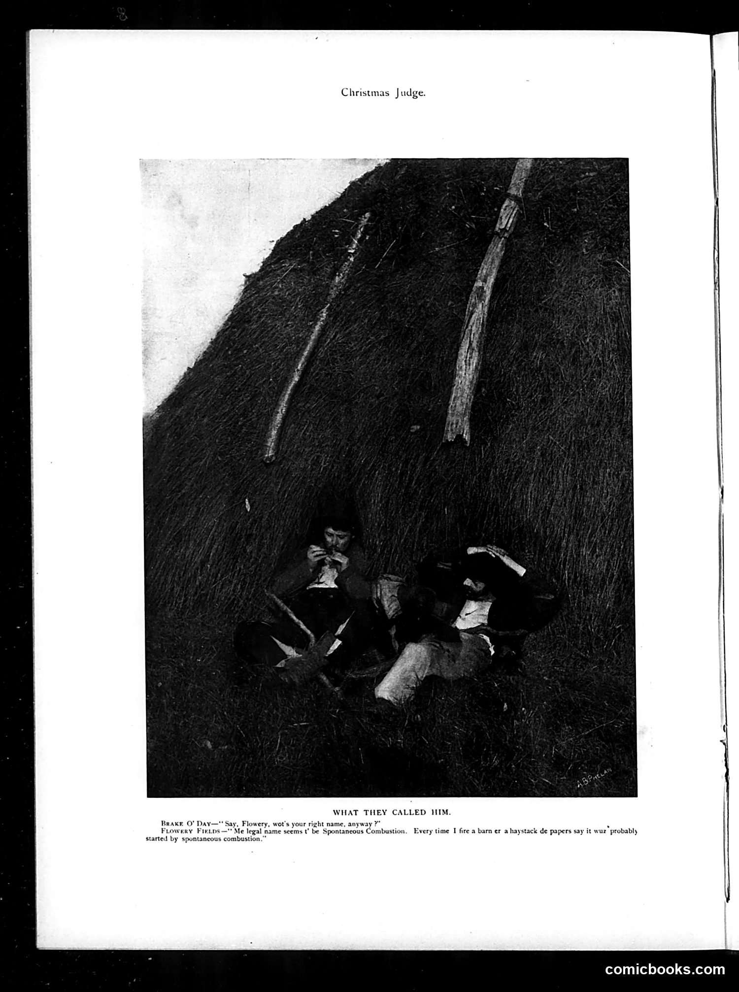 Judge — December 7, 1895 — page 24