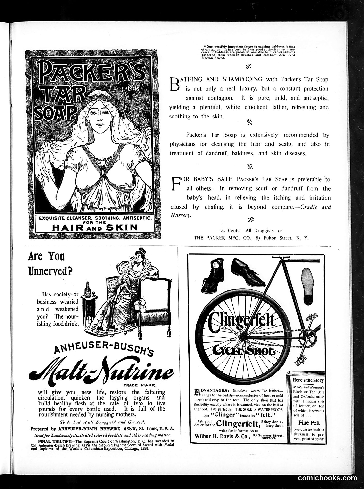 Judge — December 7, 1895 — page 41