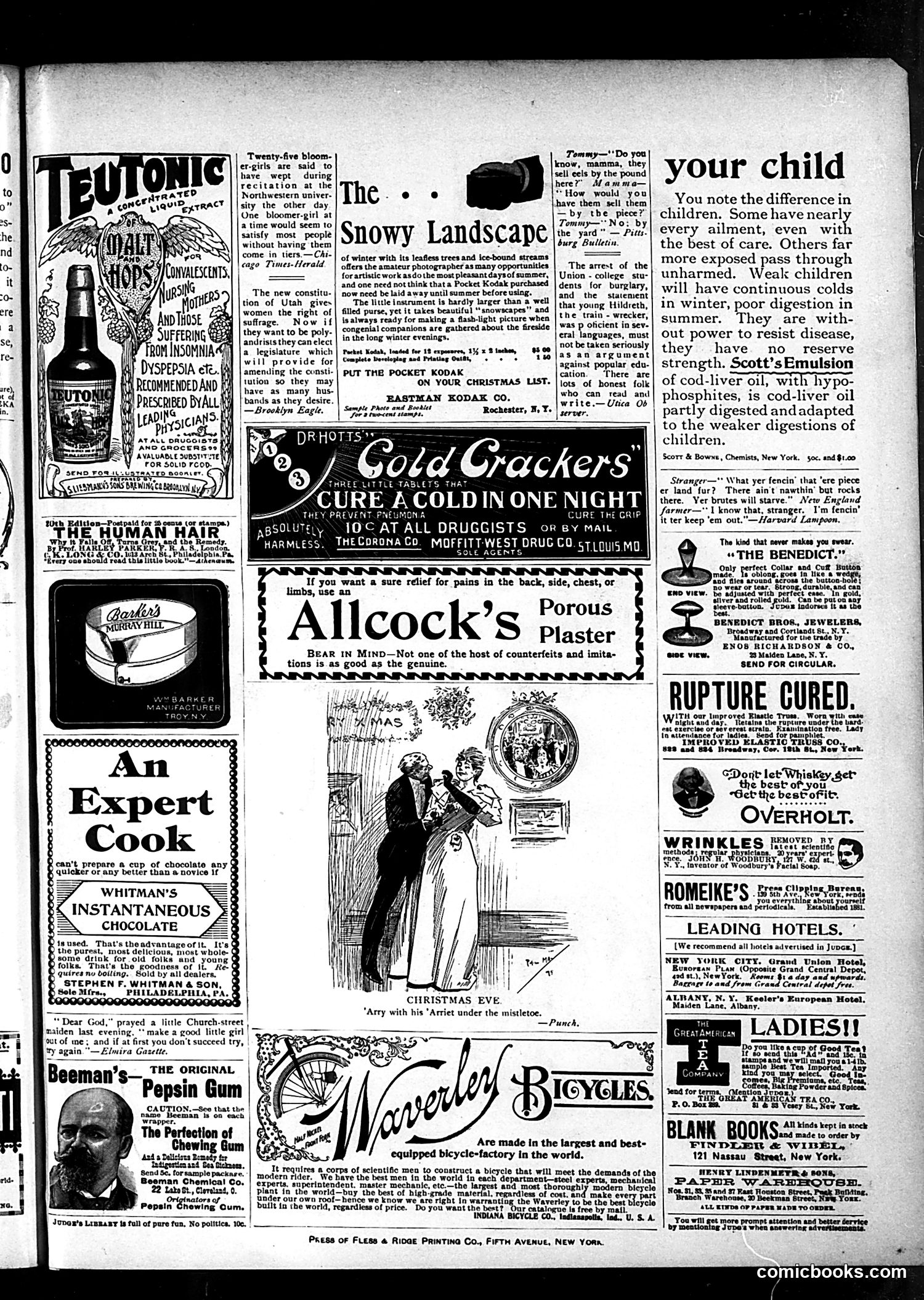 Judge — December 28, 1895 — page 15