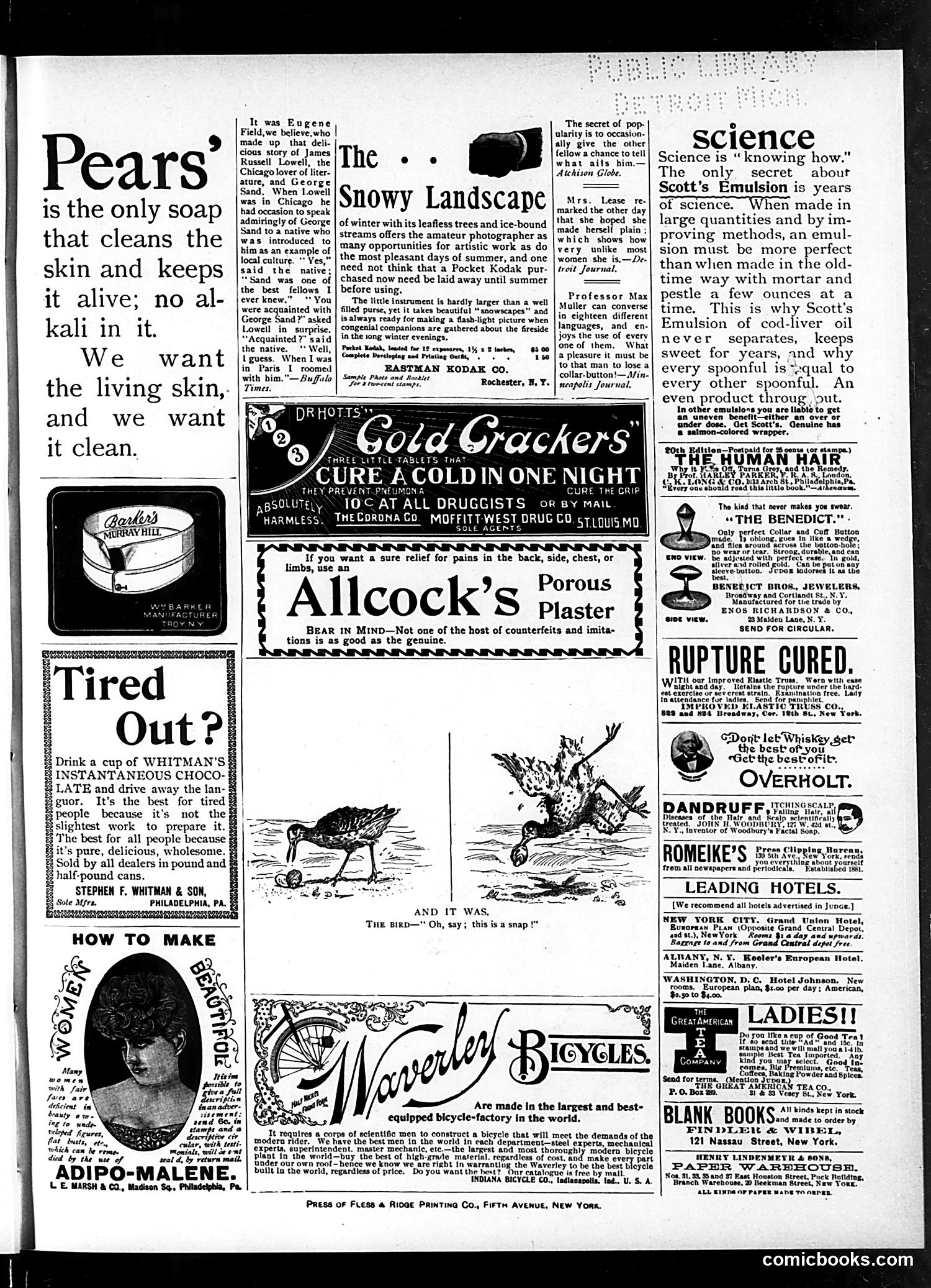 Judge — January 4, 1896 — page 17